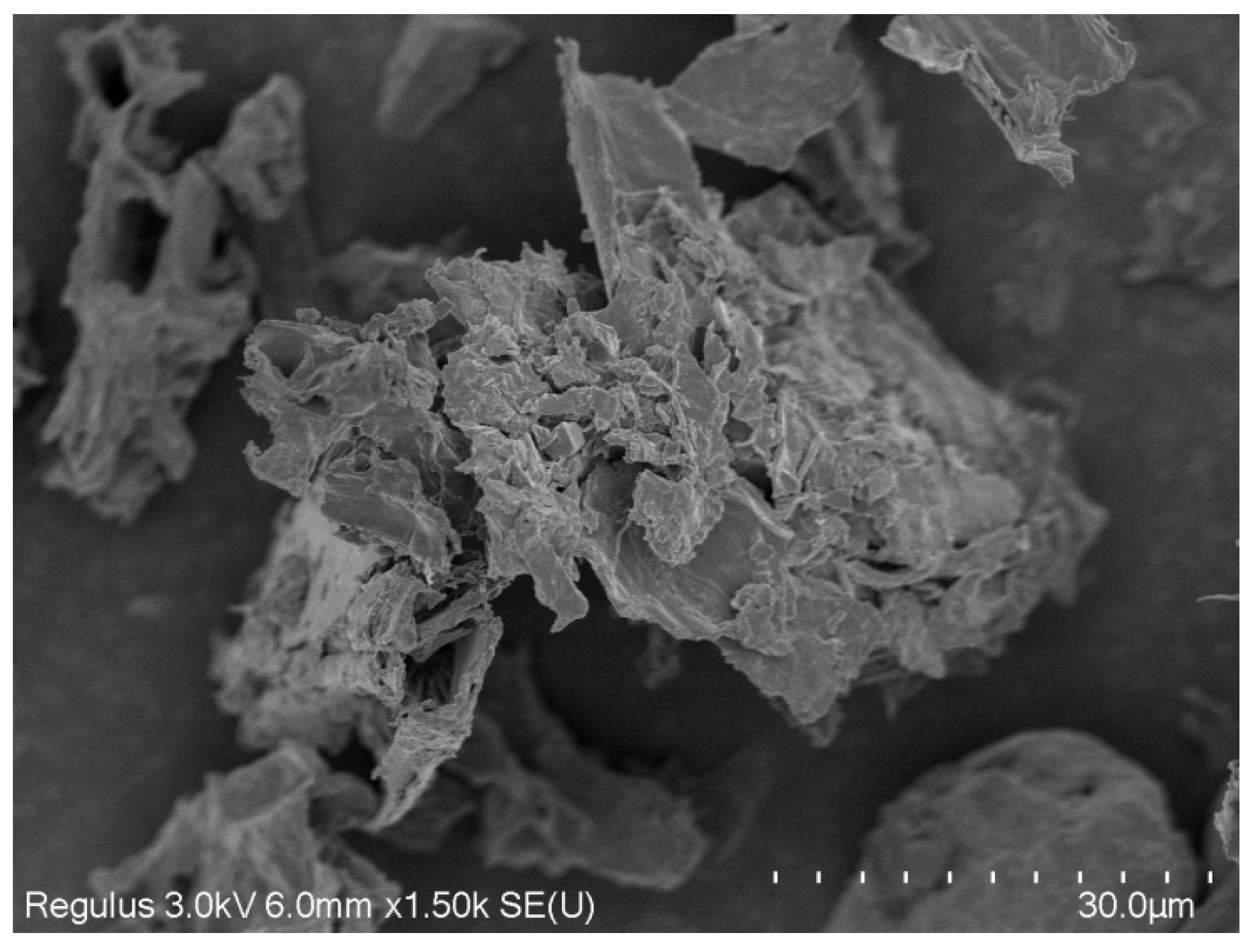 Nutrients 16 03822 g001 Nutrients 16 03822 g001