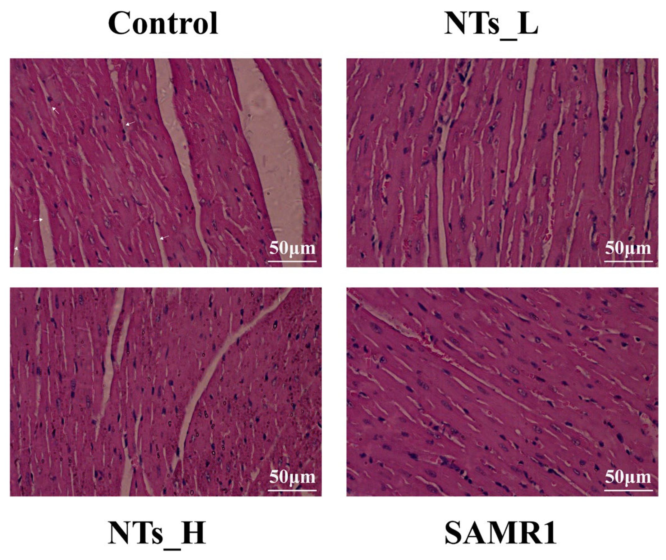 Nutrients 16 03851 g001