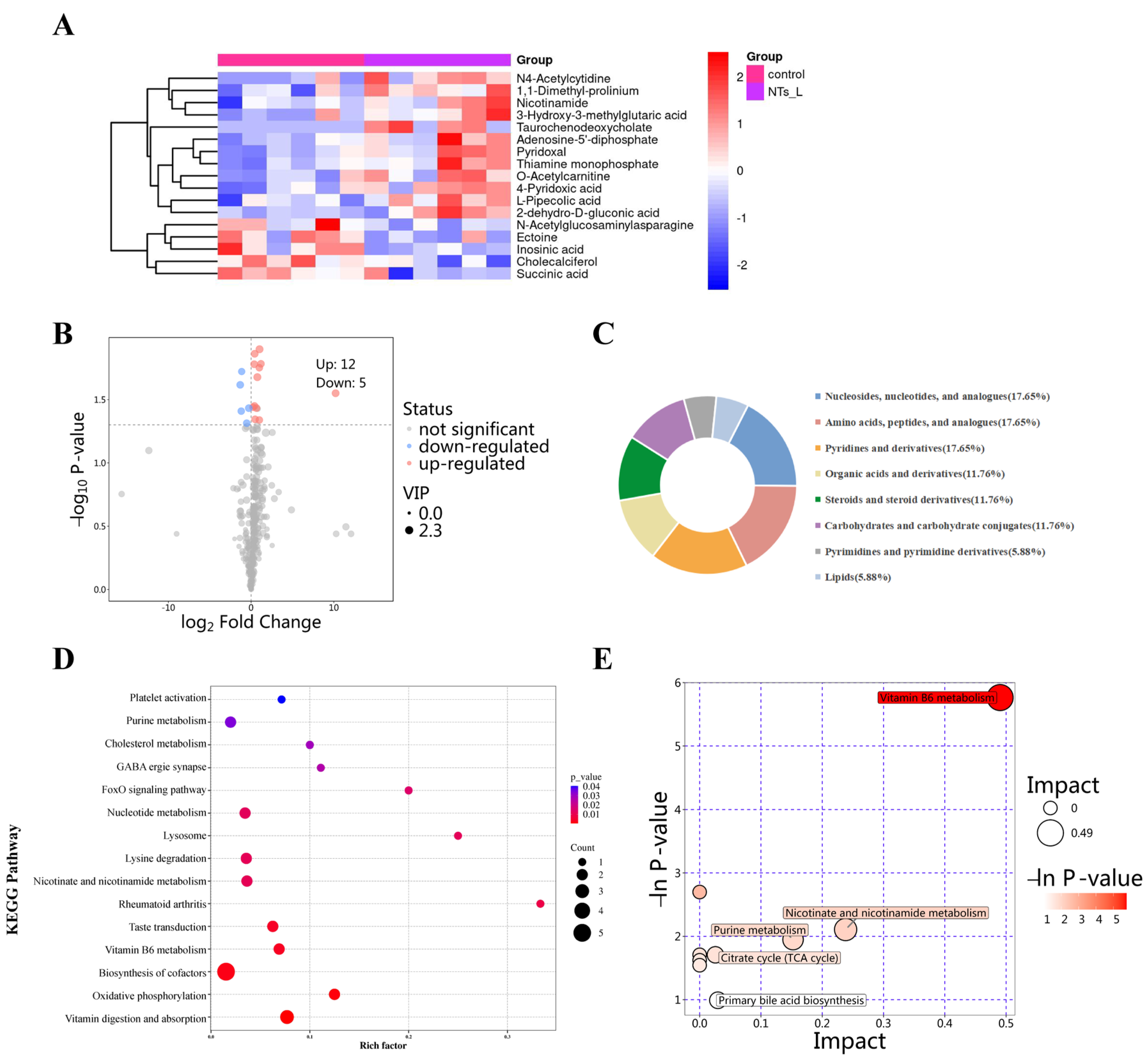 Nutrients 16 03851 g007