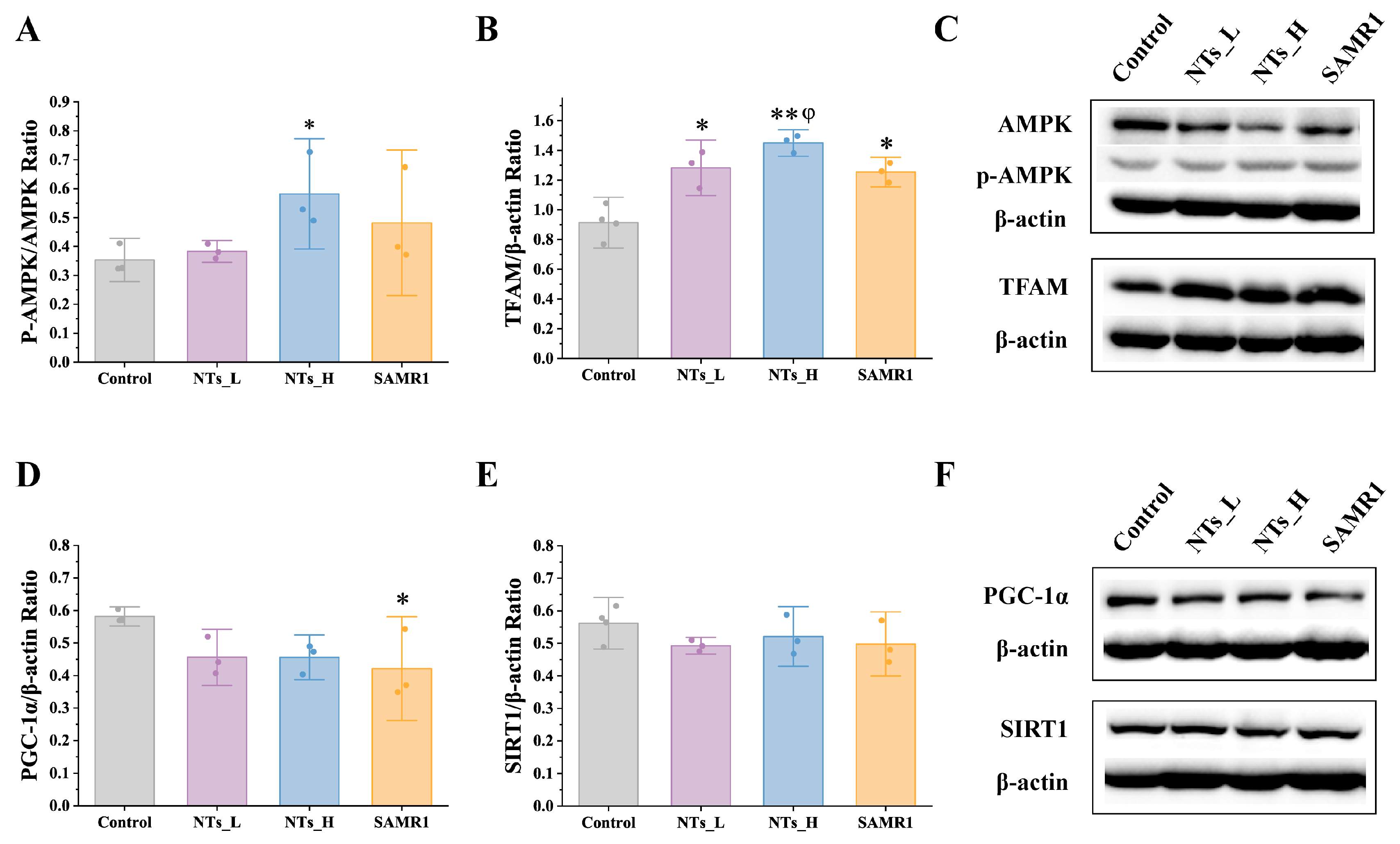 Nutrients 16 03851 g009