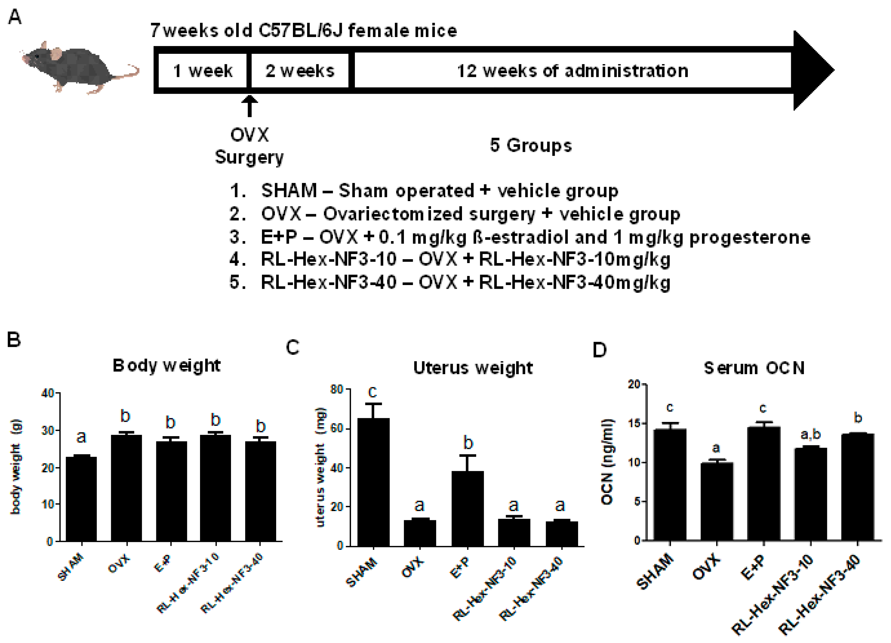 Nutrients 16 03856 g001