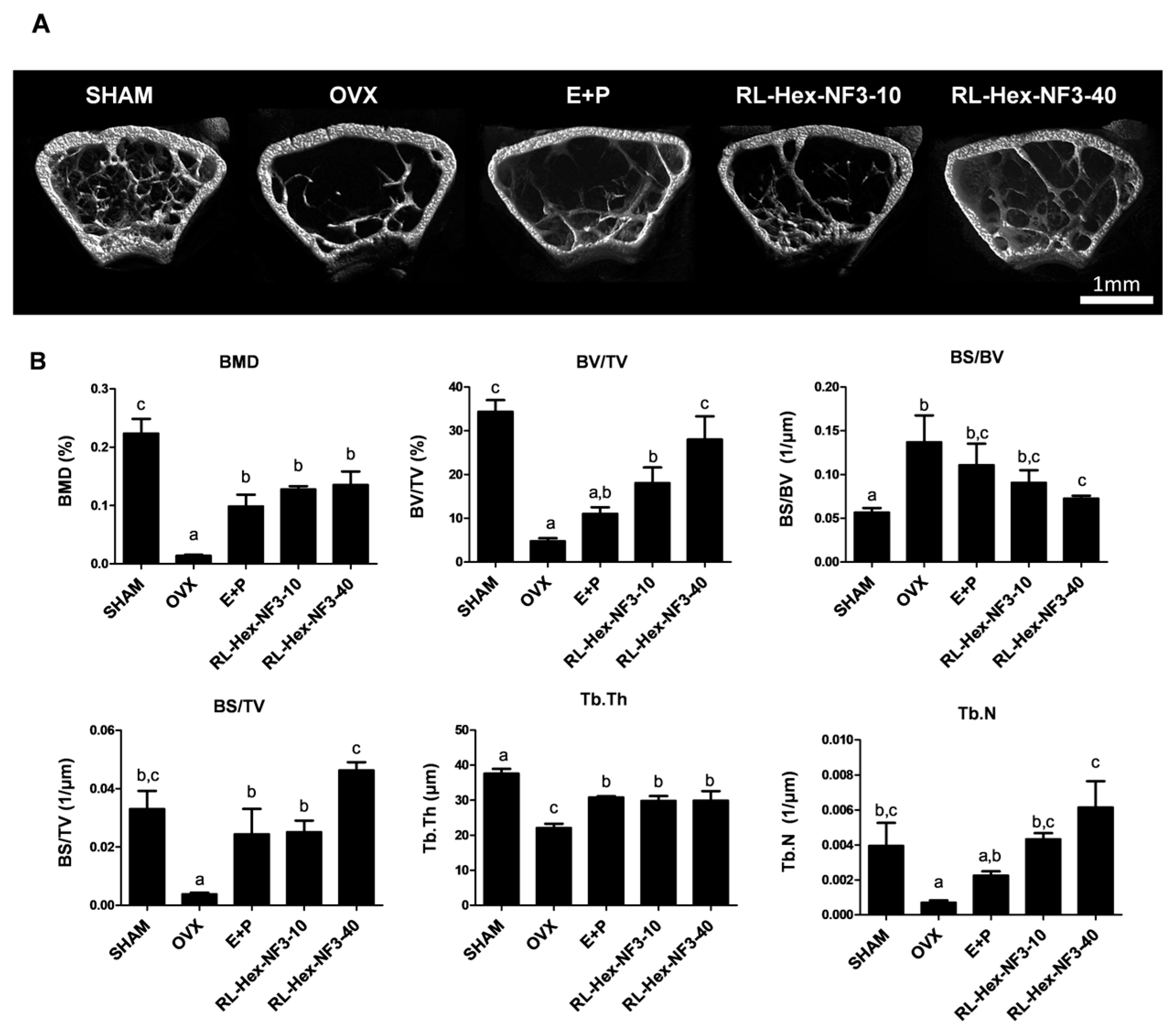 Nutrients 16 03856 g002