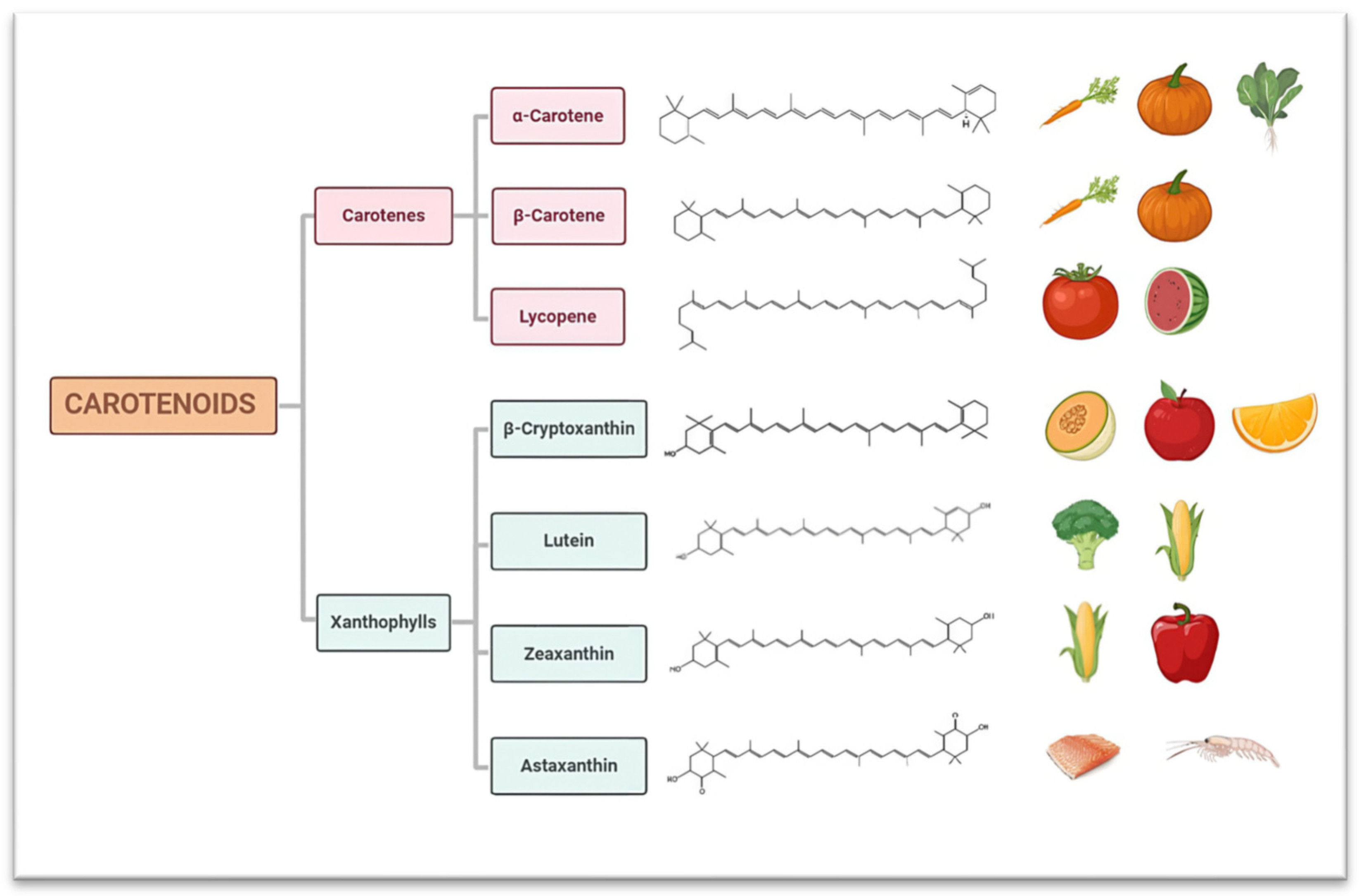 Nutrients 16 03859 g002