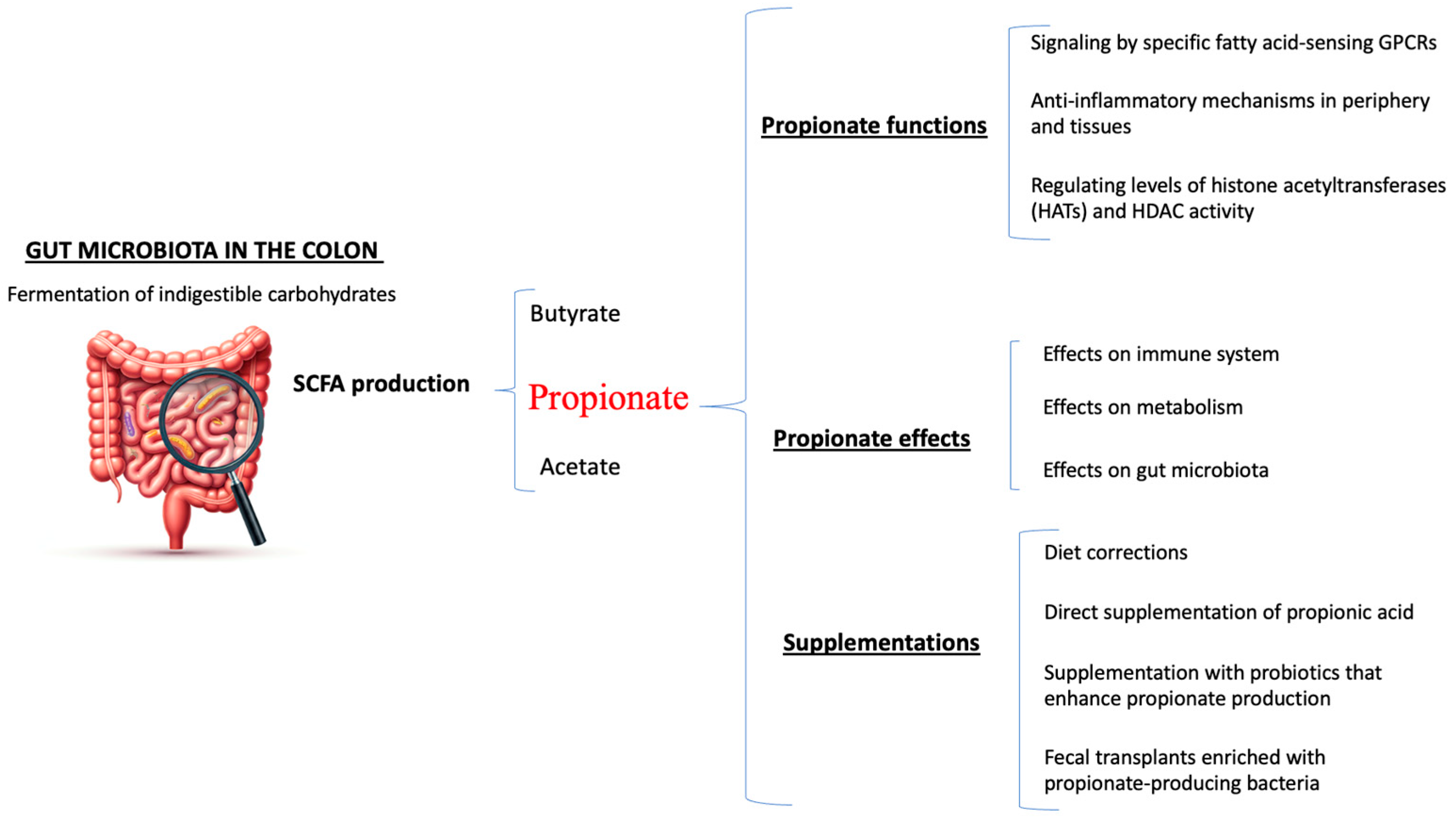 Nutrients 16 03887 g001