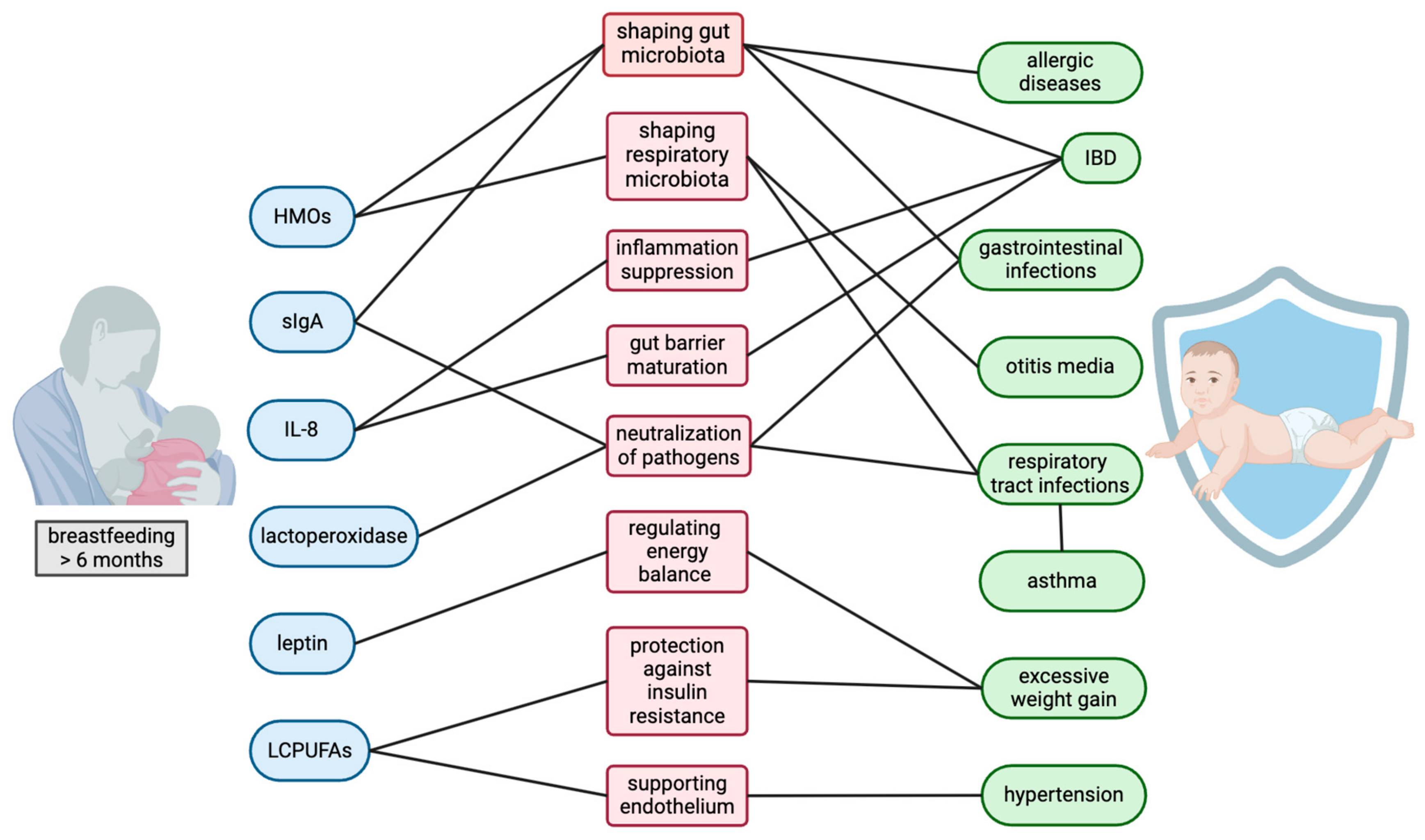 Nutrients 16 03891 g002