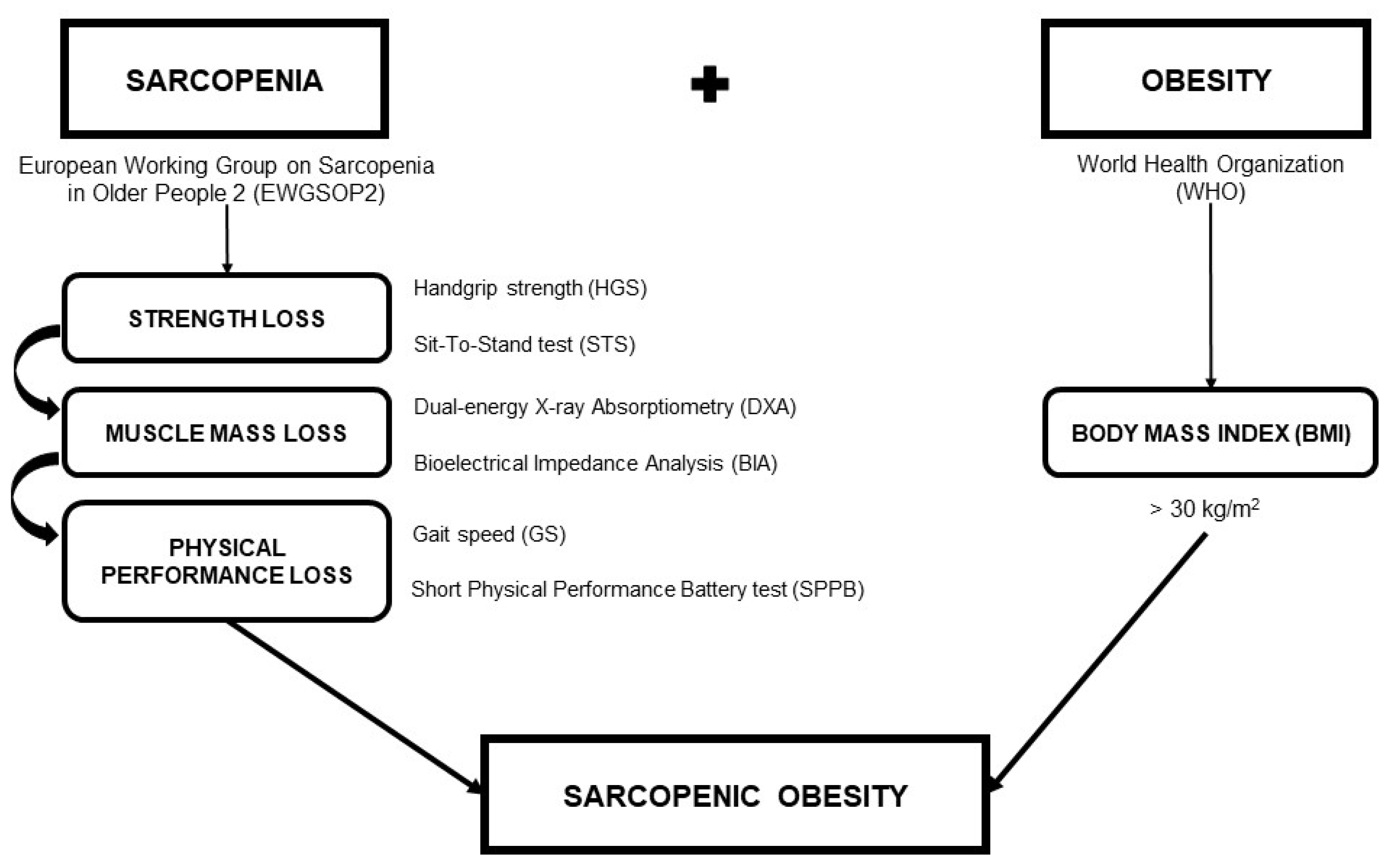 Nutrients 16 03904 g001