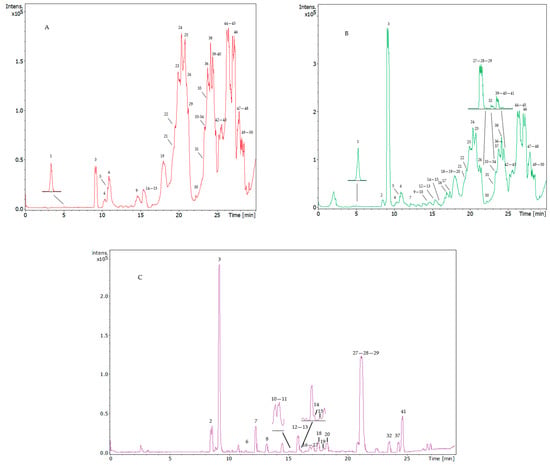 Nutrients 16 03909 g001a Nutrients 16 03909 g001a