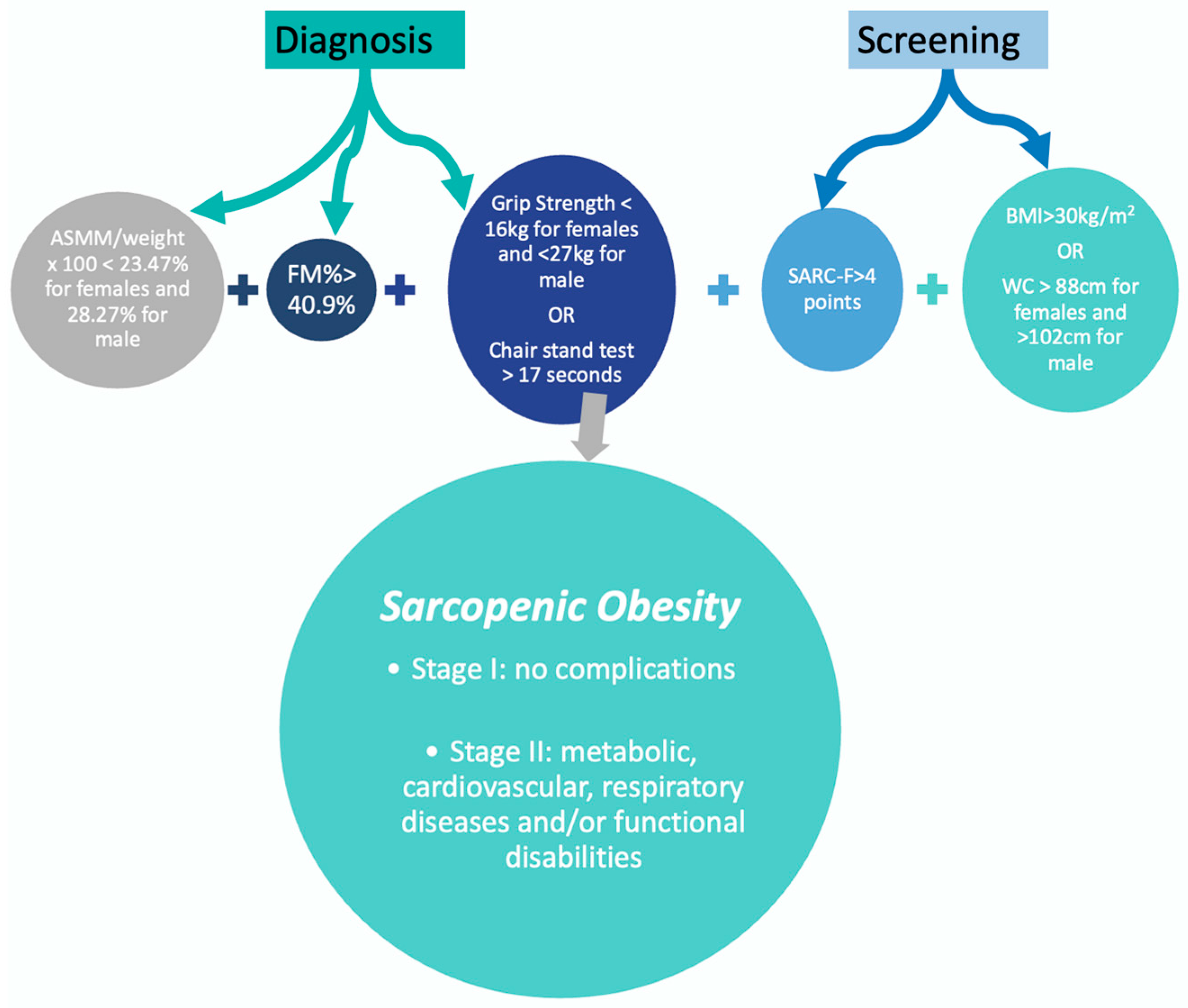 Nutrients 16 03913 g003