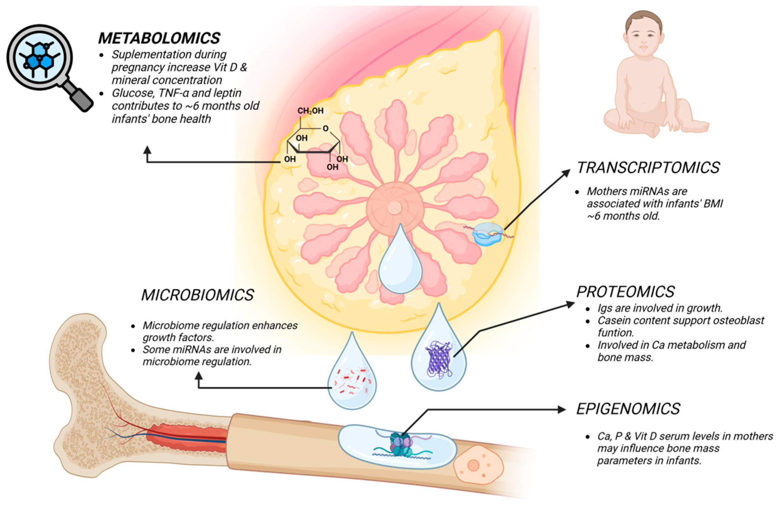 Nutrients 16 03921 g002