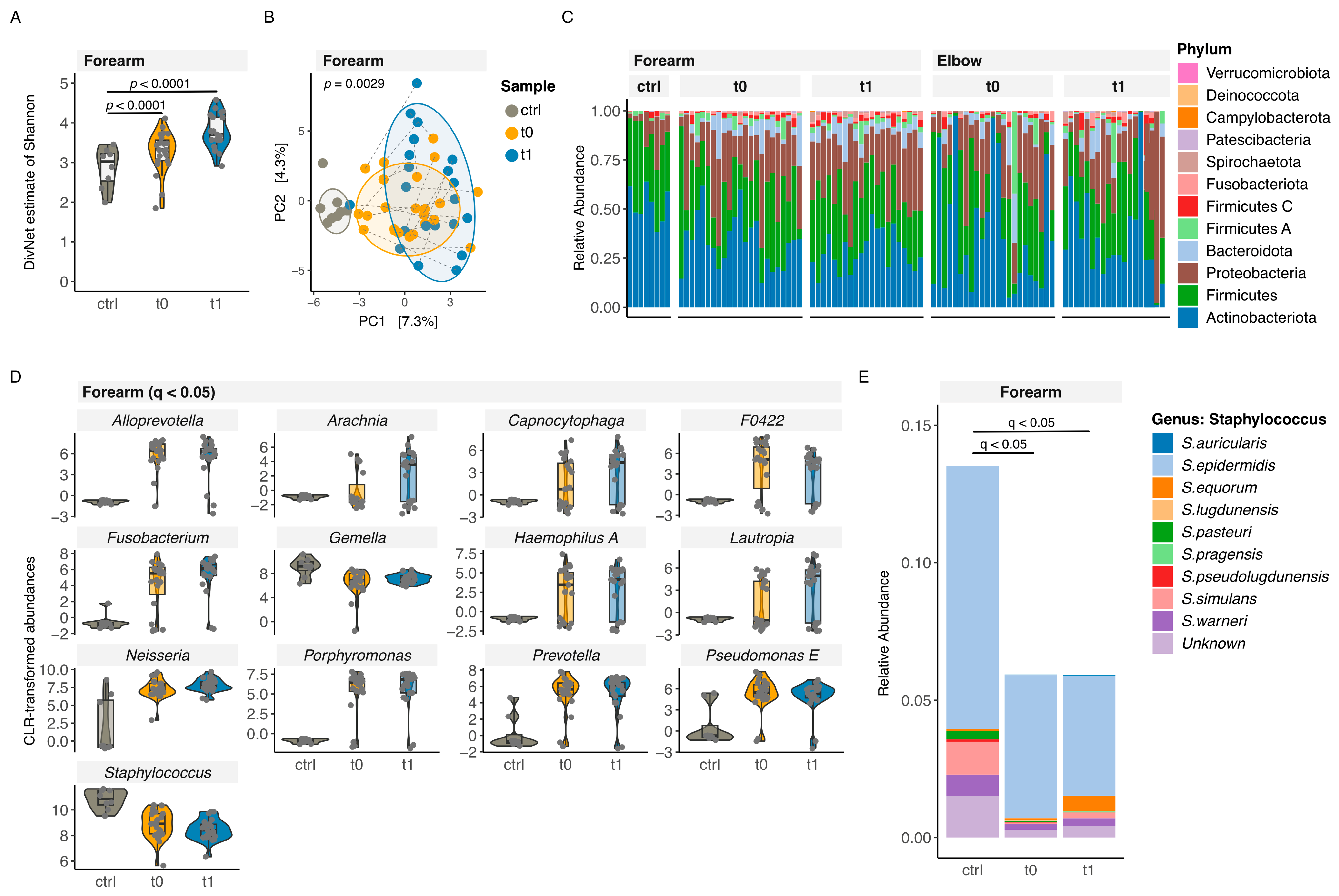 Nutrients 16 03942 g001