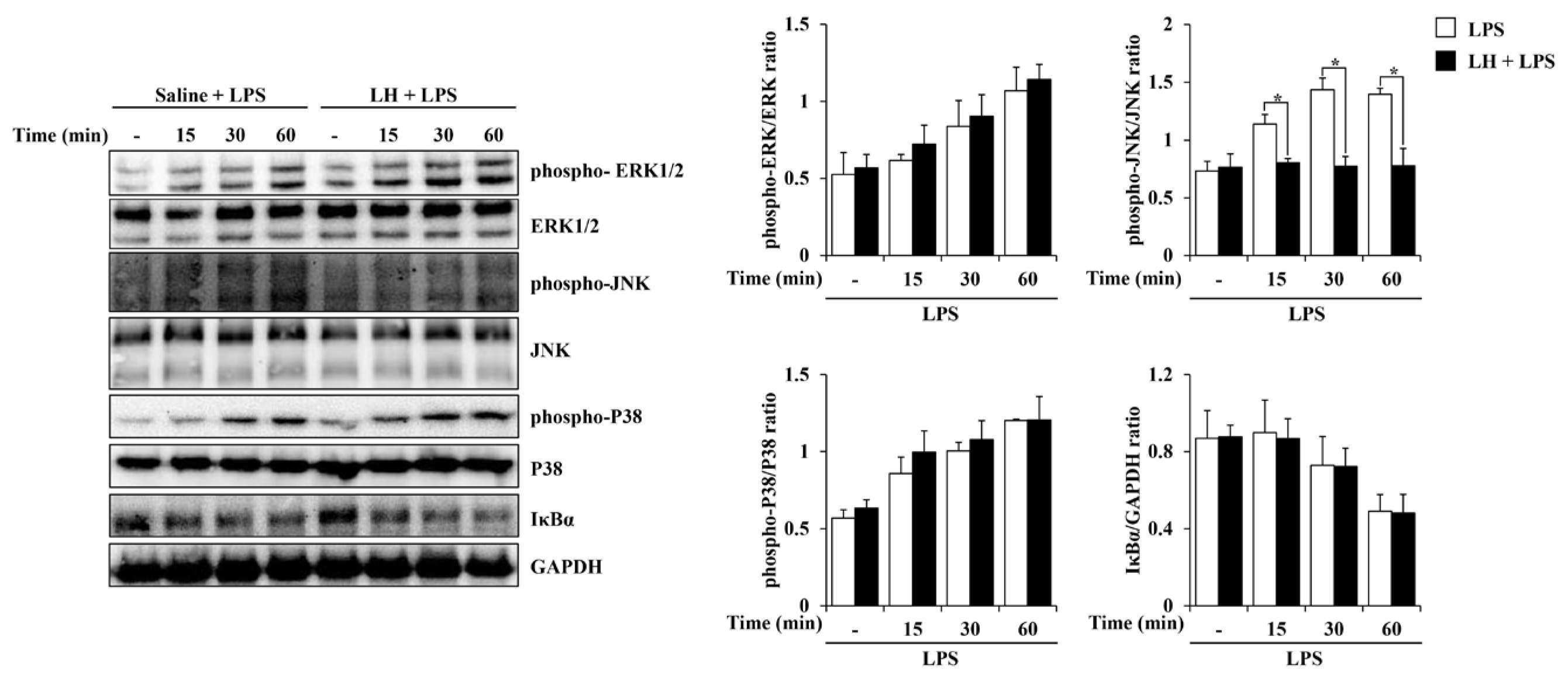Nutrients 16 03954 g004
