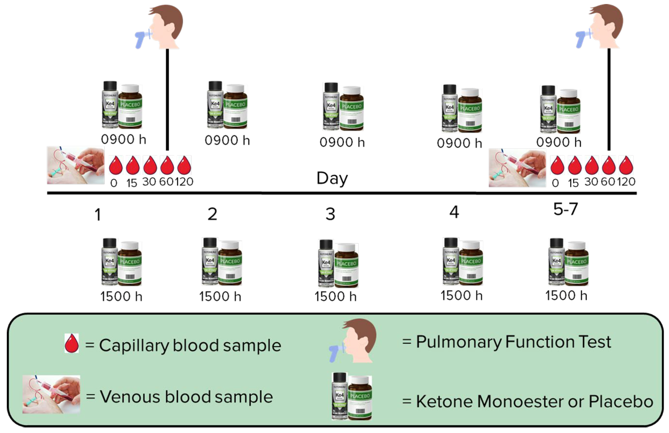 Nutrients 16 03957 g001 Nutrients 16 03957 g001