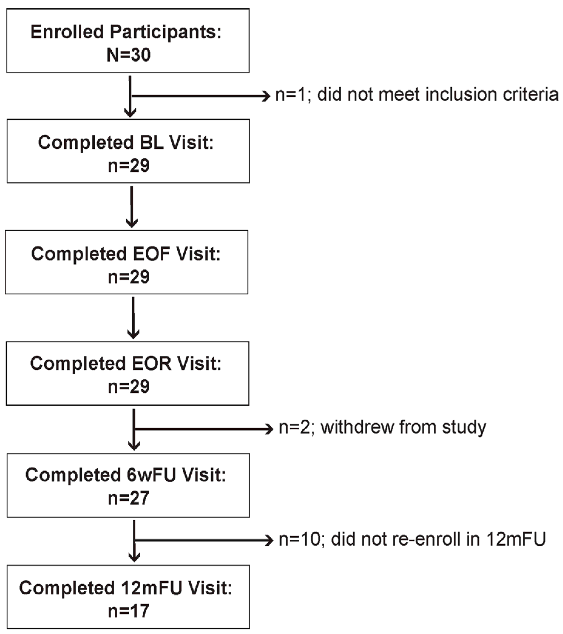 Nutrients 16 03959 g001