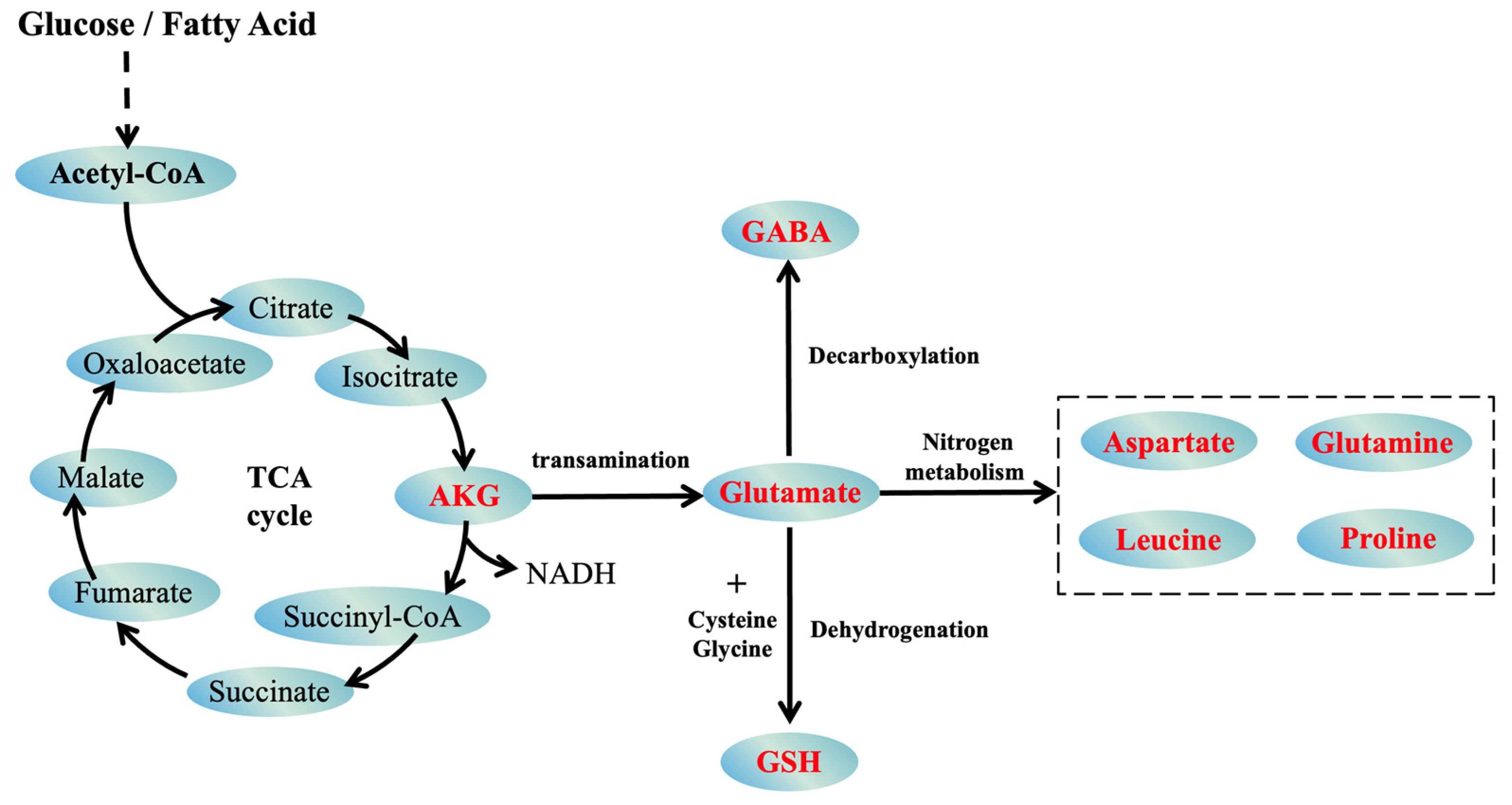 Nutrients 16 03968 g001 Nutrients 16 03968 g001