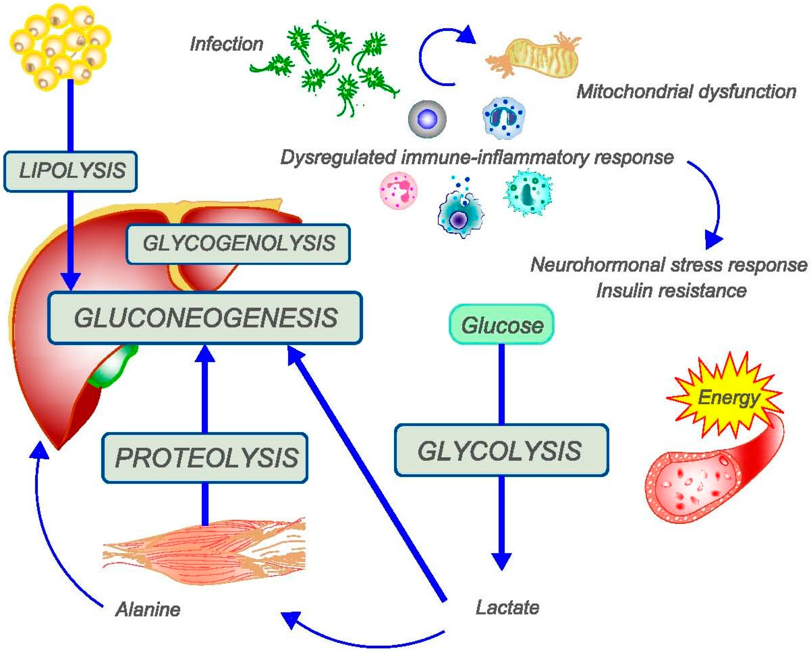 Nutrients 16 03985 g001
