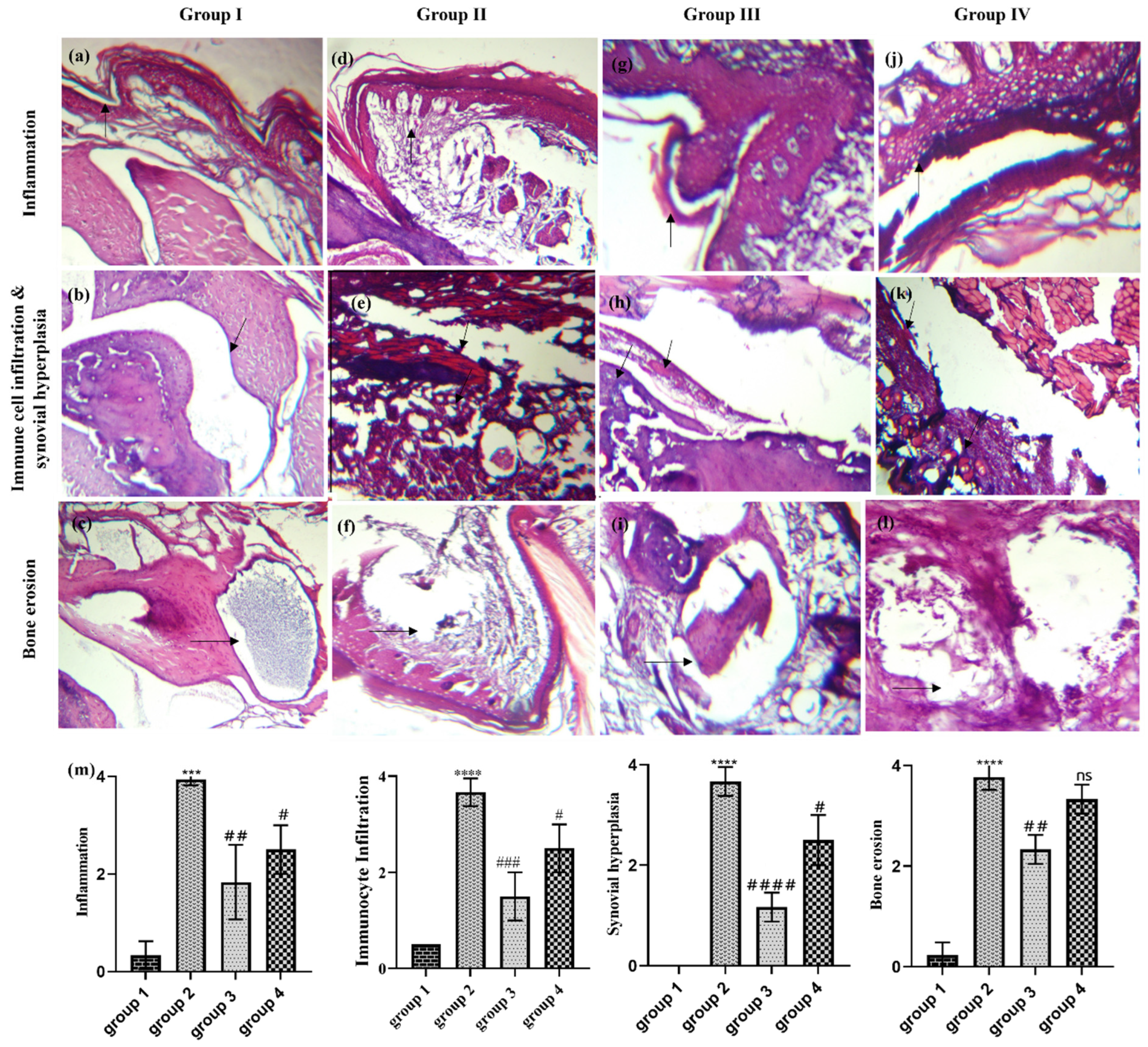 Nutrients 16 04020 g006 Nutrients 16 04020 g006