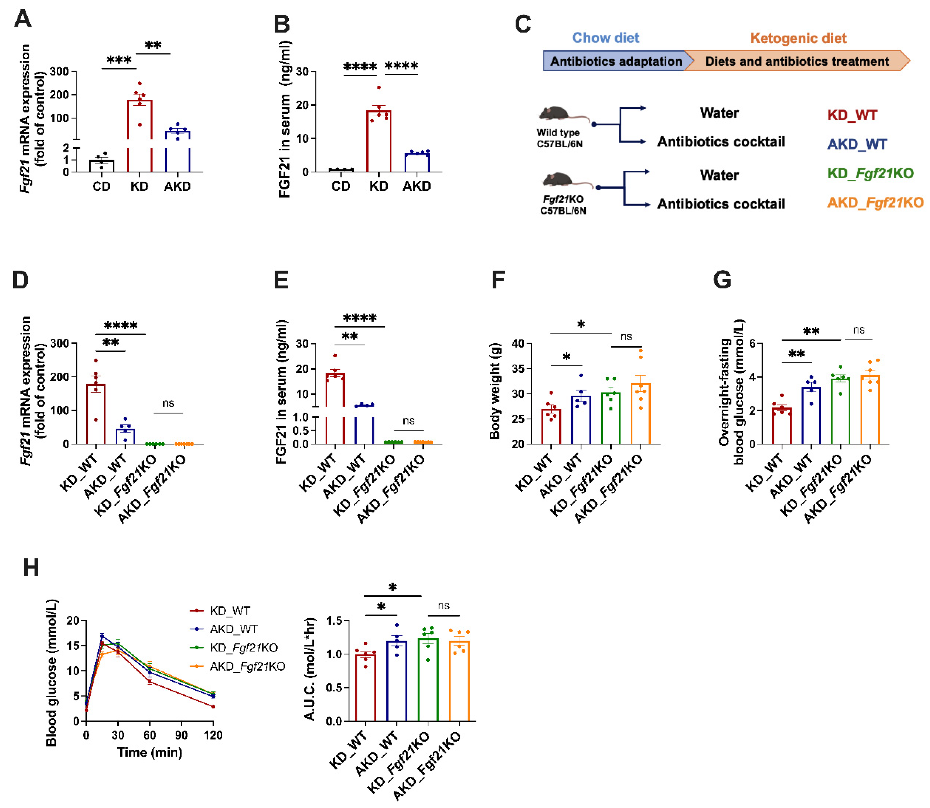 Nutrients 16 04028 g002