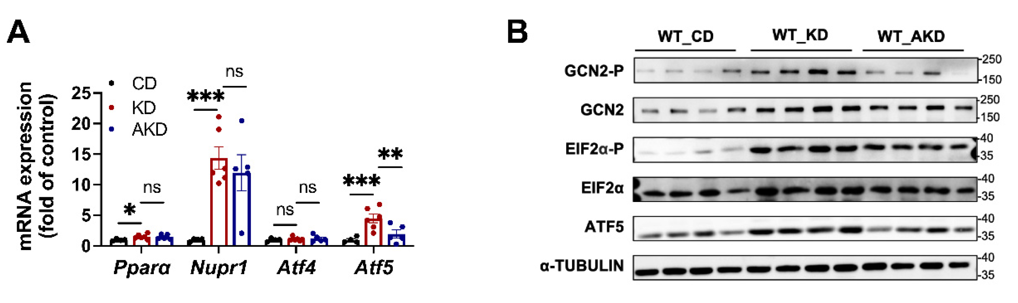 Nutrients 16 04028 g003