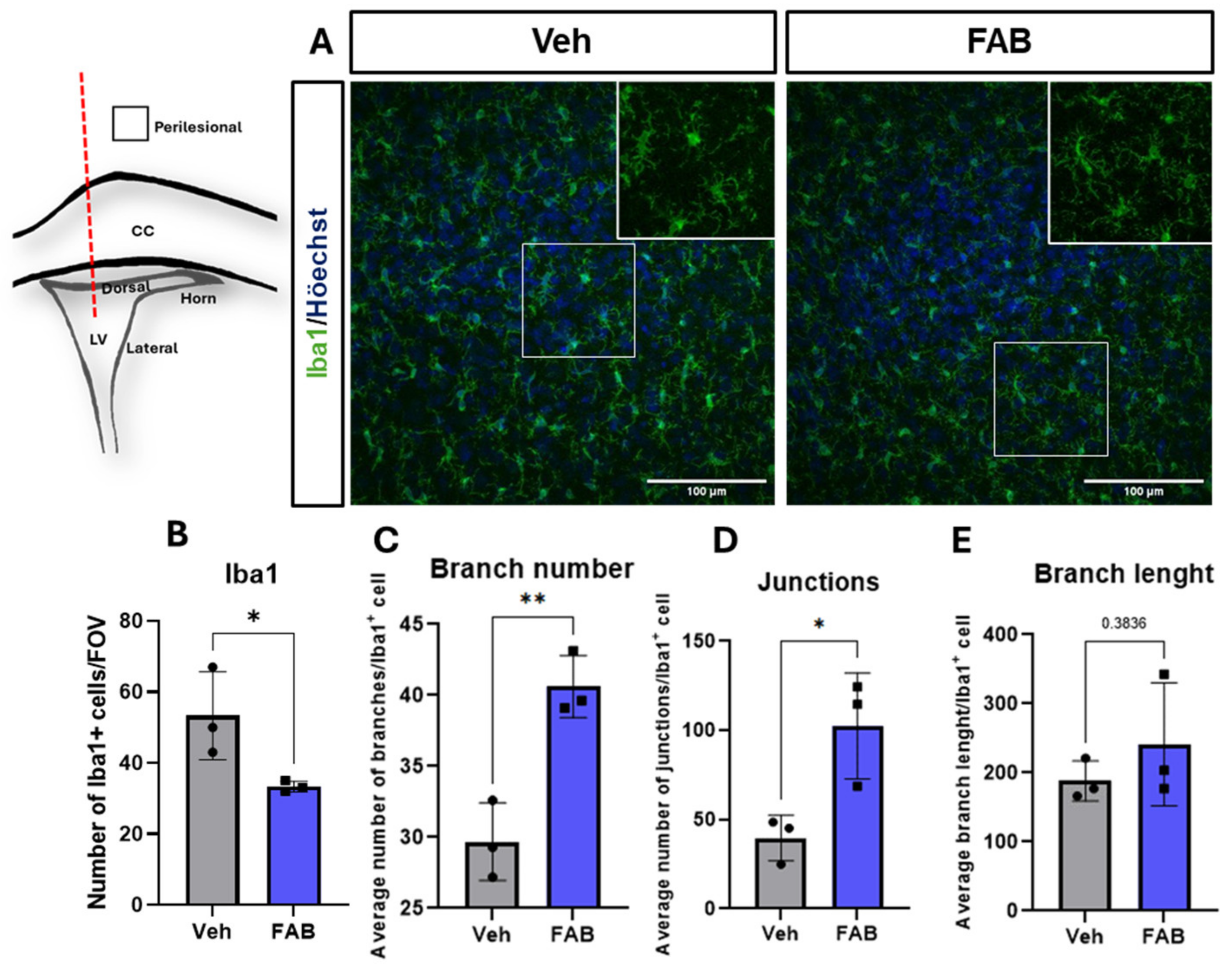 Nutrients 16 04053 g003