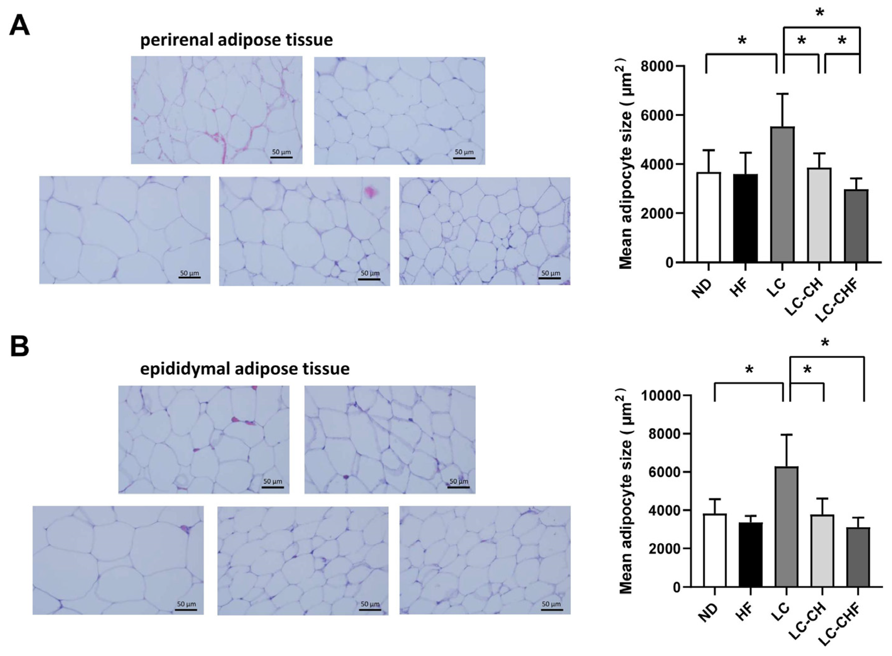 Nutrients 16 04080 g005