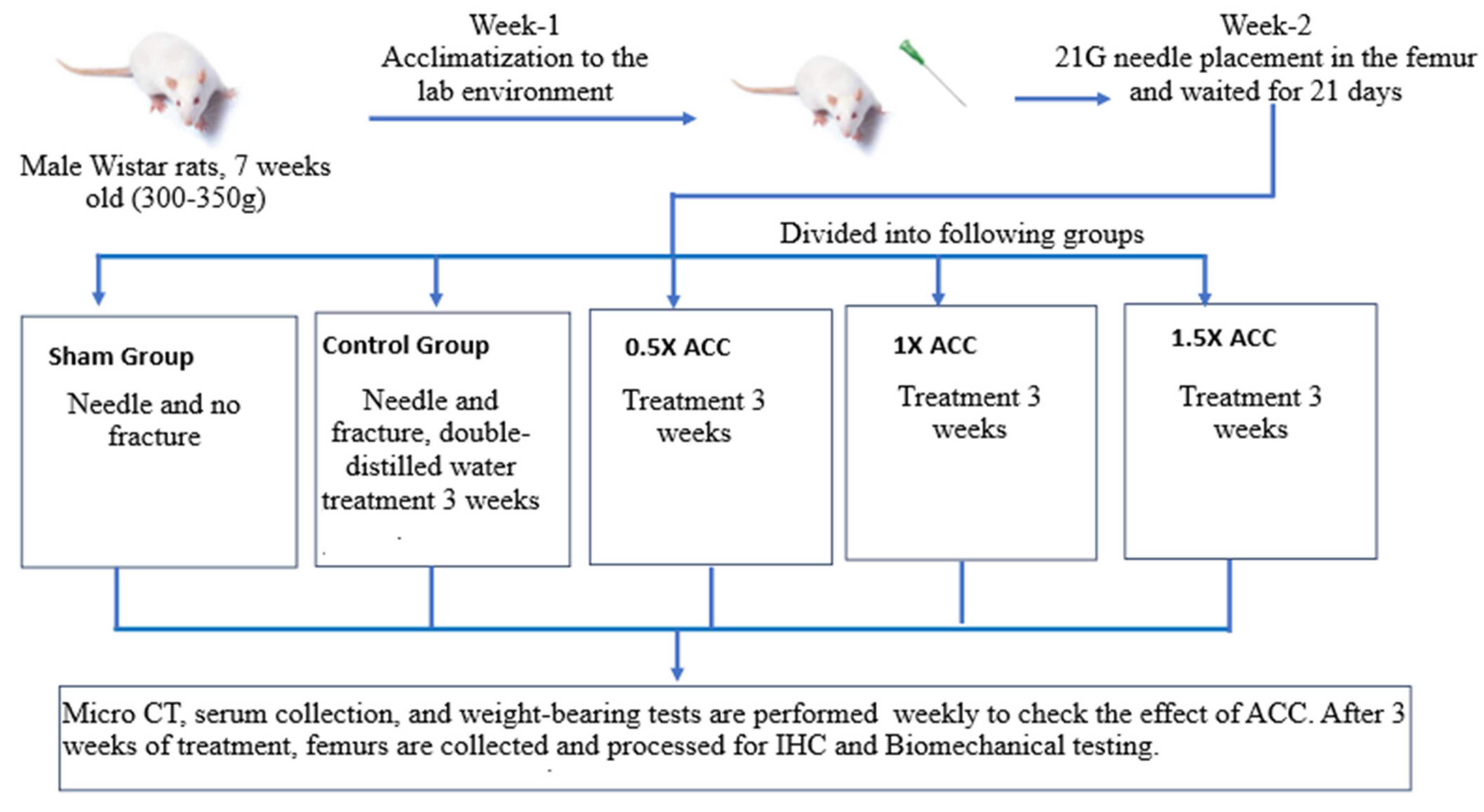 Nutrients 16 04089 g002