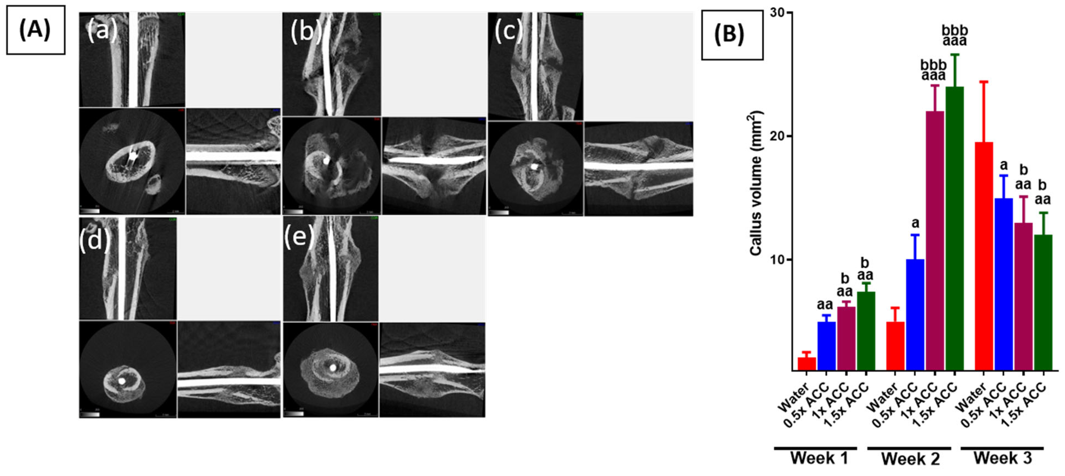 Nutrients 16 04089 g004