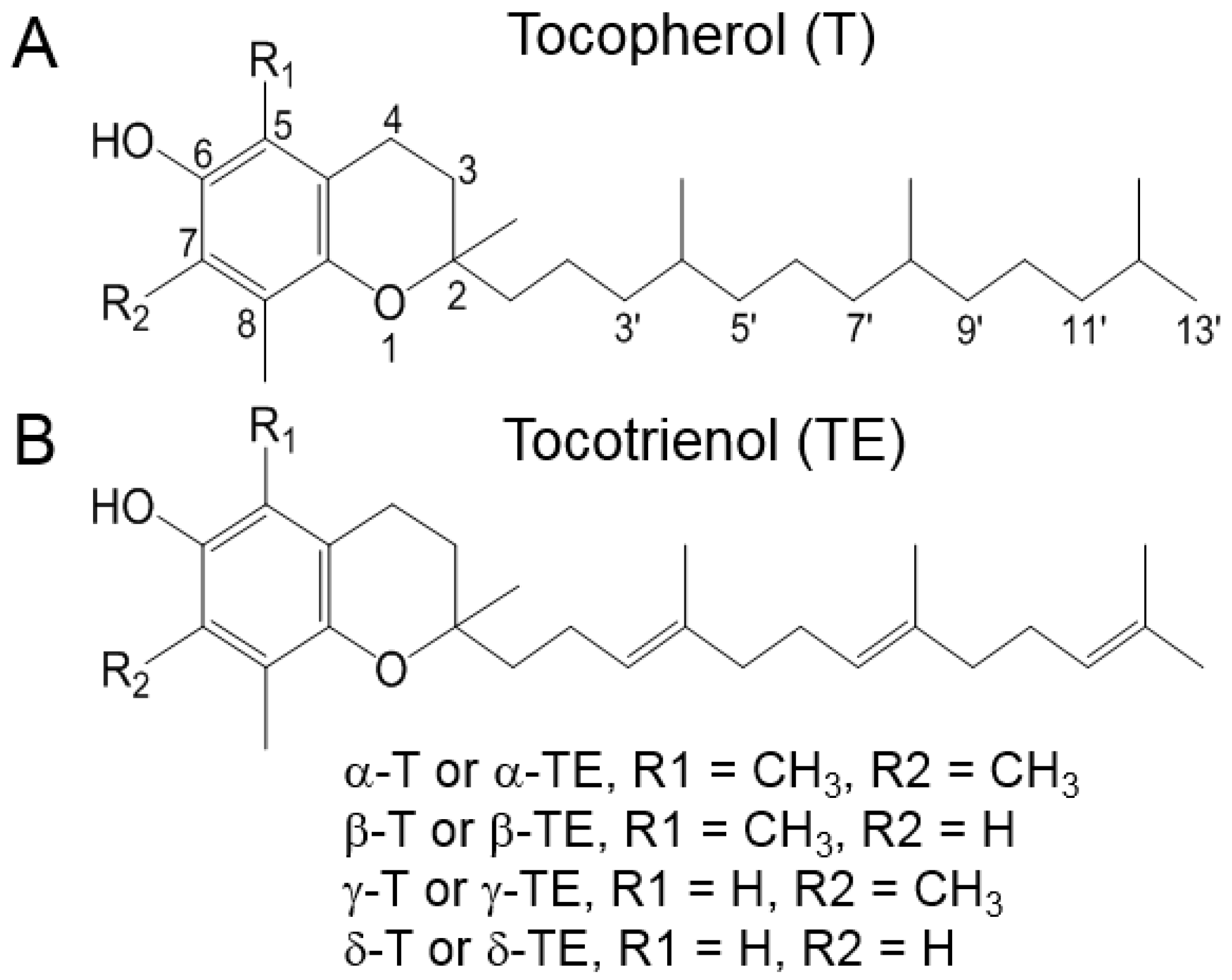 Nutrients 16 04115 g001