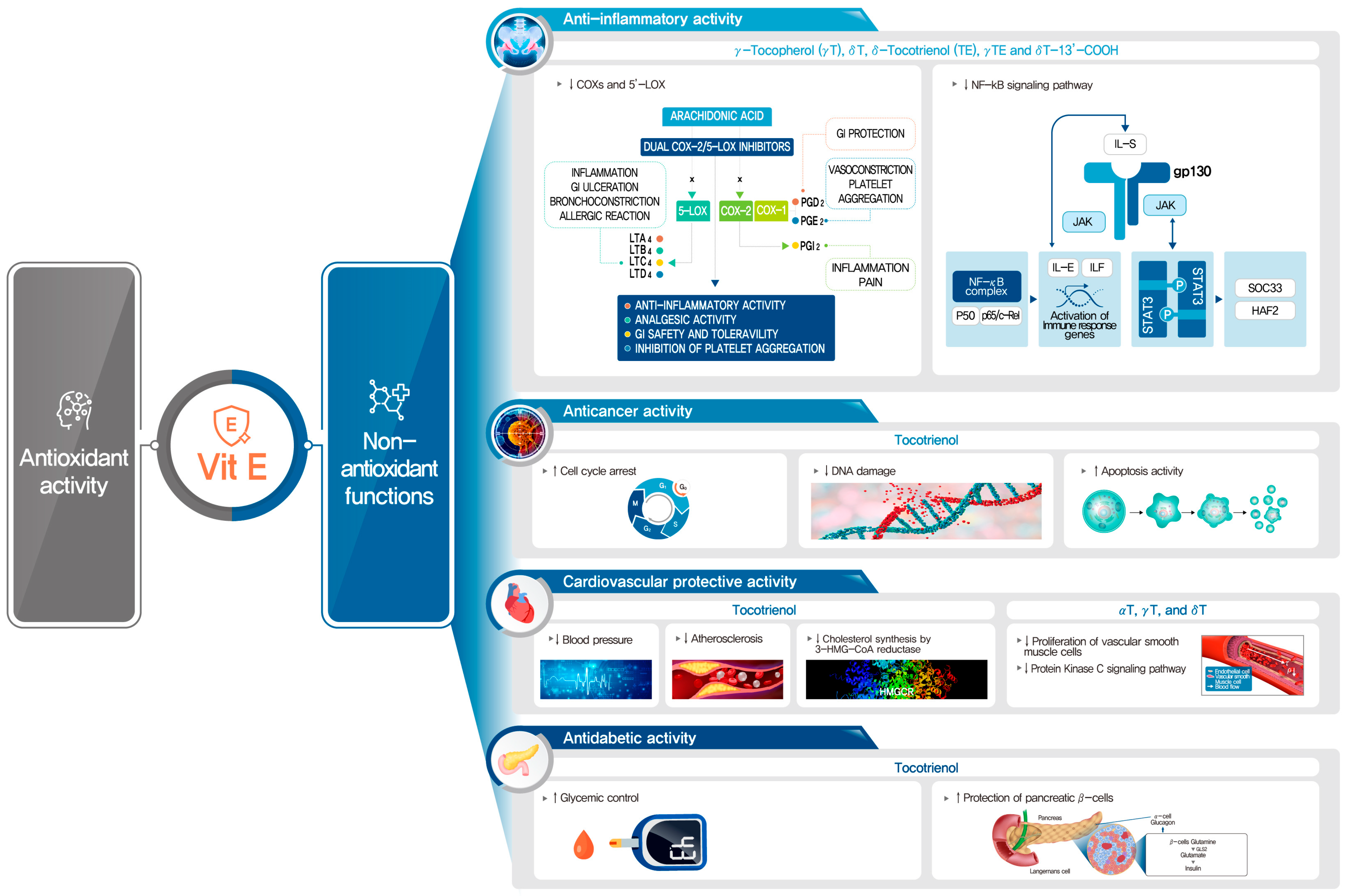 Nutrients 16 04115 g003