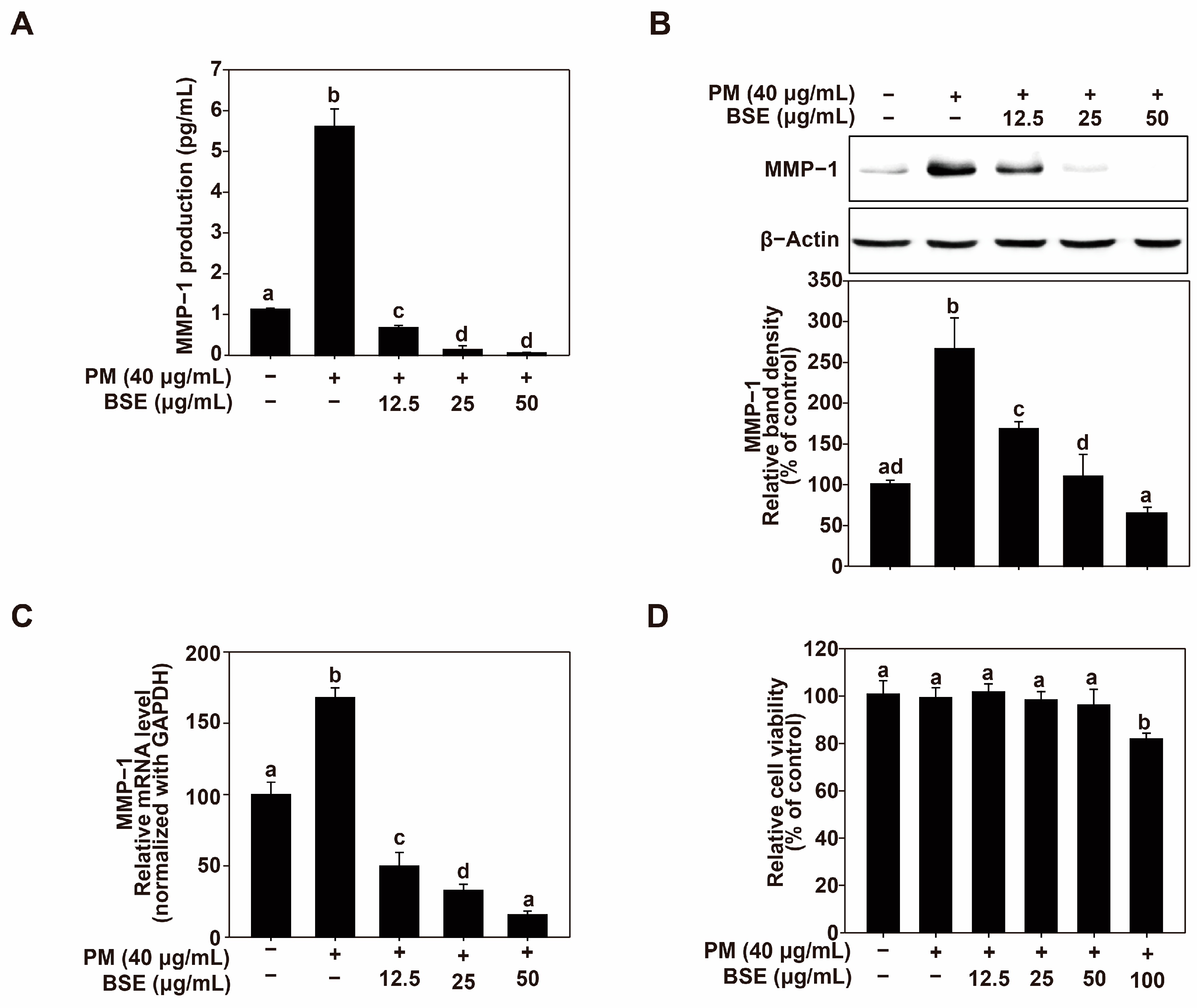 Nutrients 16 04156 g001