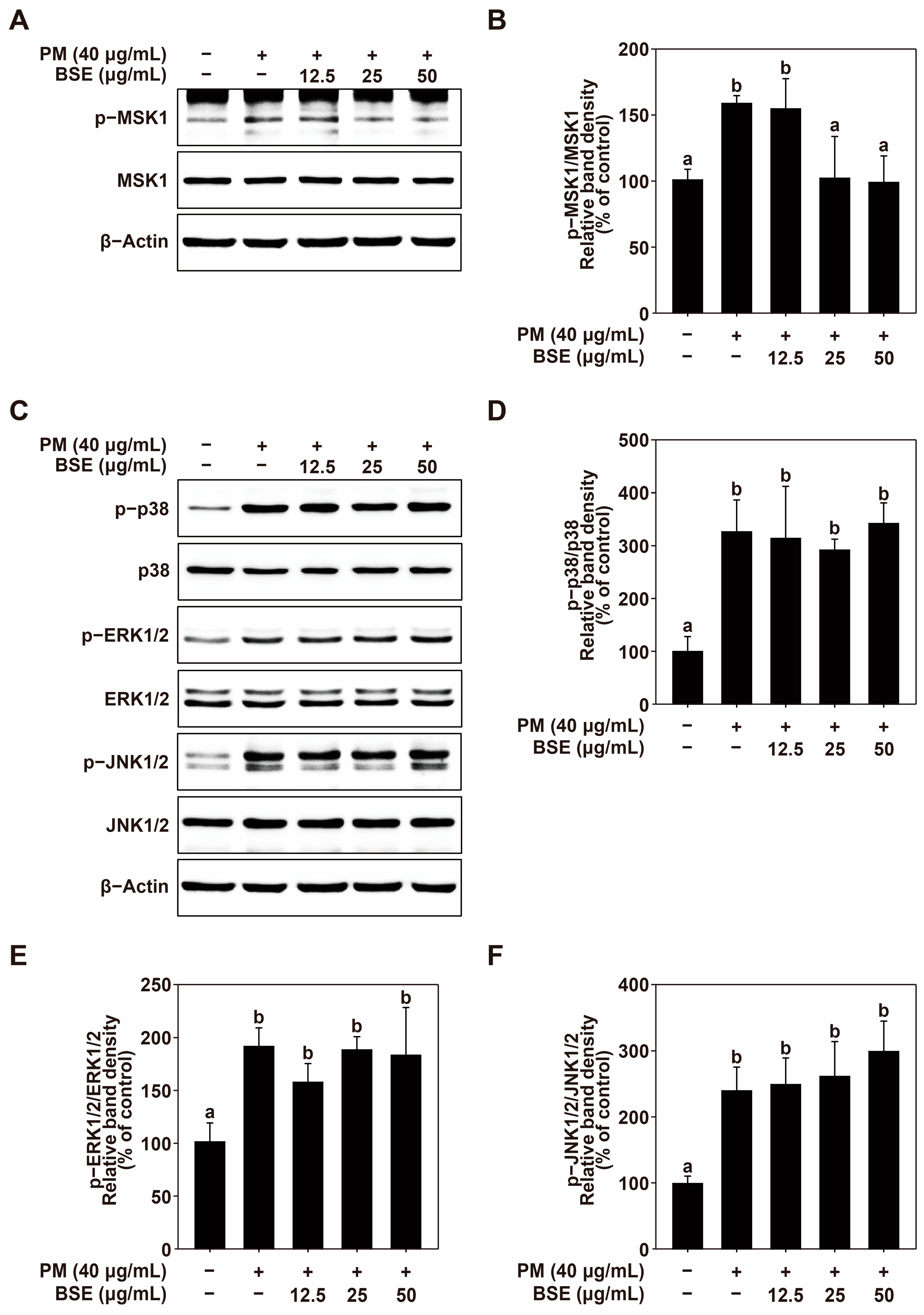 Nutrients 16 04156 g004