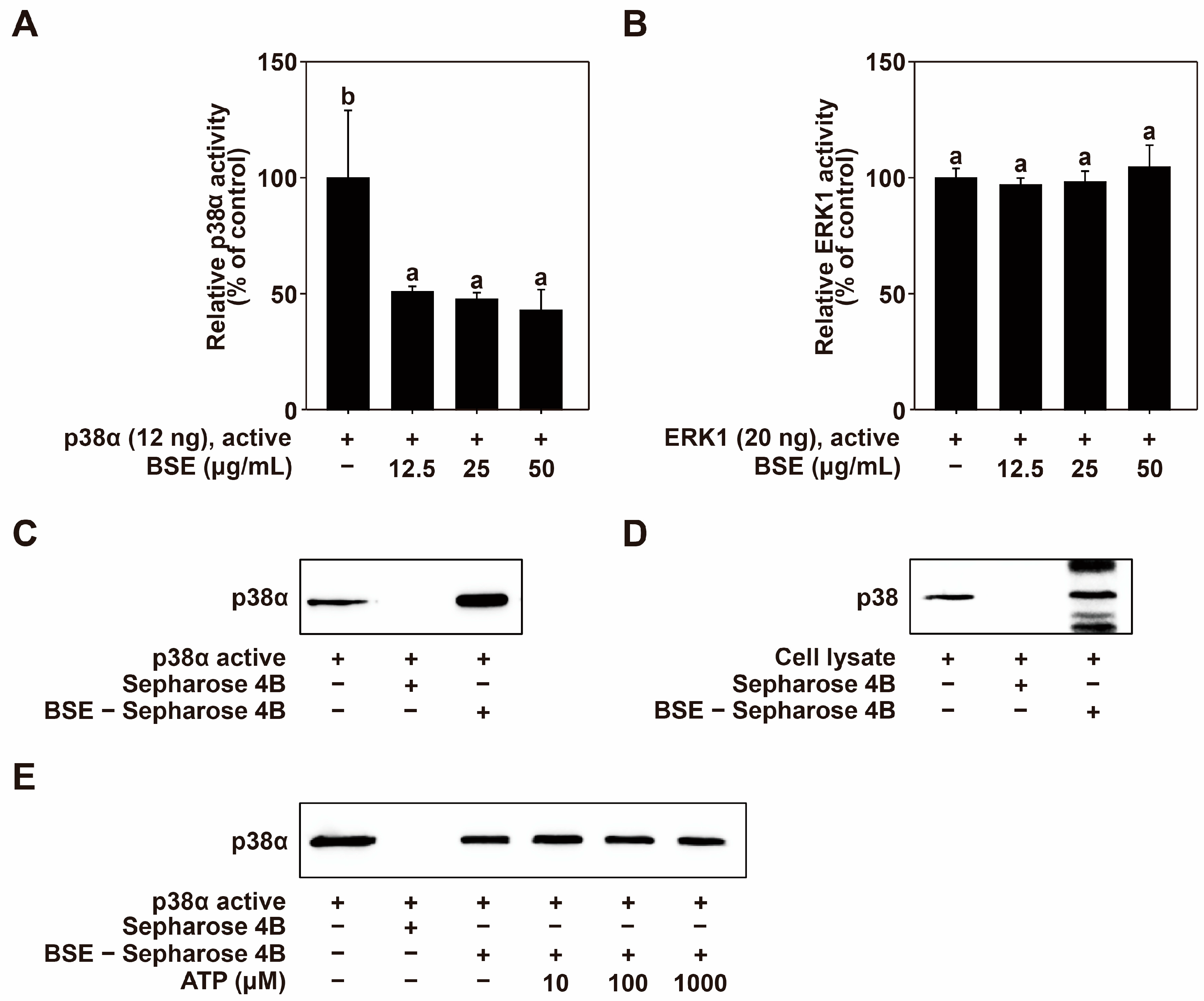 Nutrients 16 04156 g005