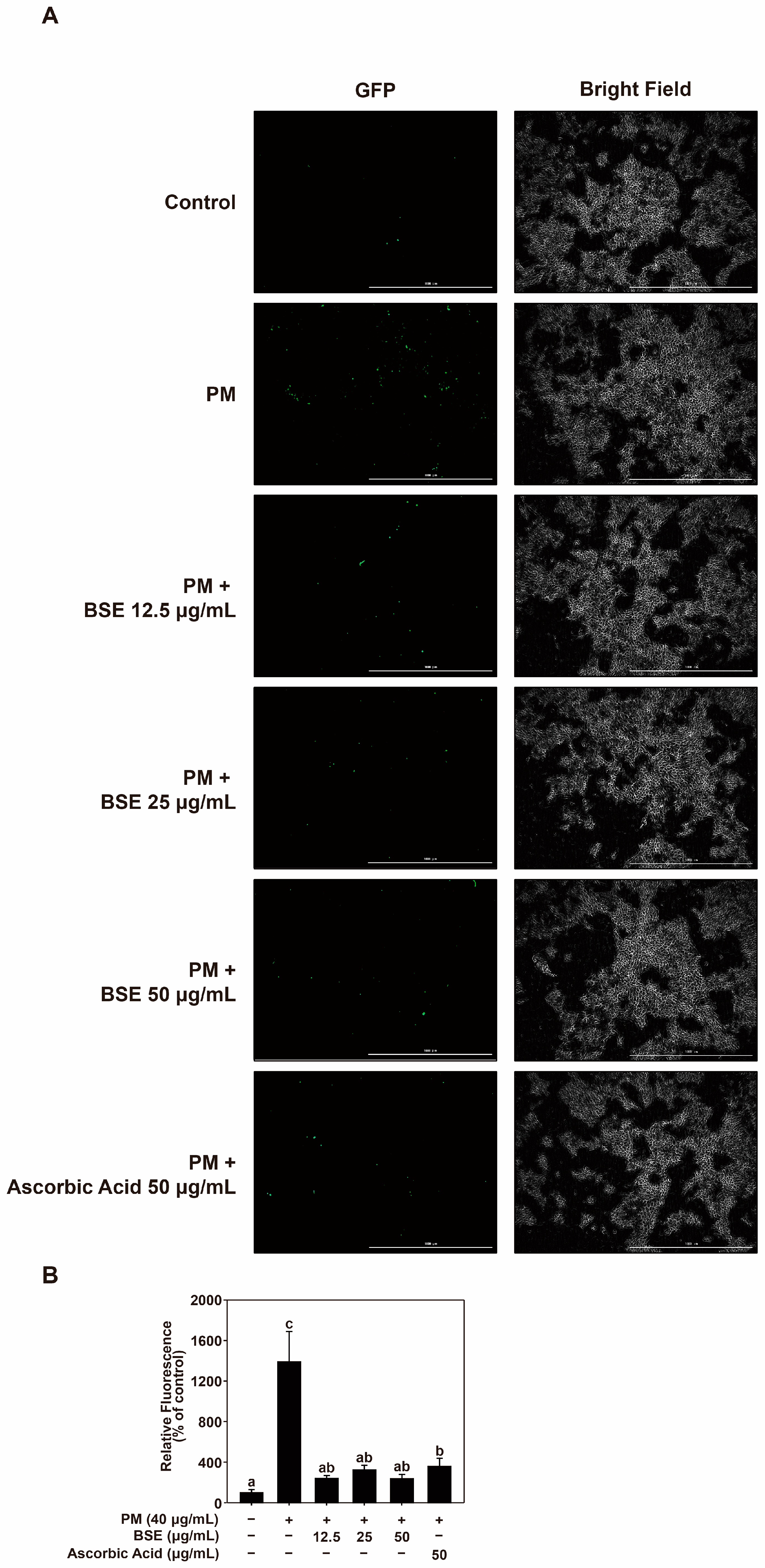 Nutrients 16 04156 g006