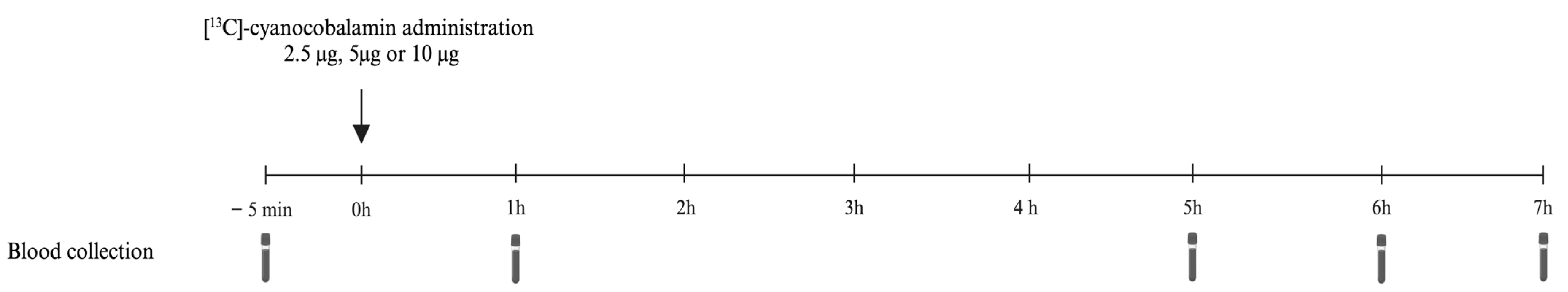 Nutrients 16 04157 g002