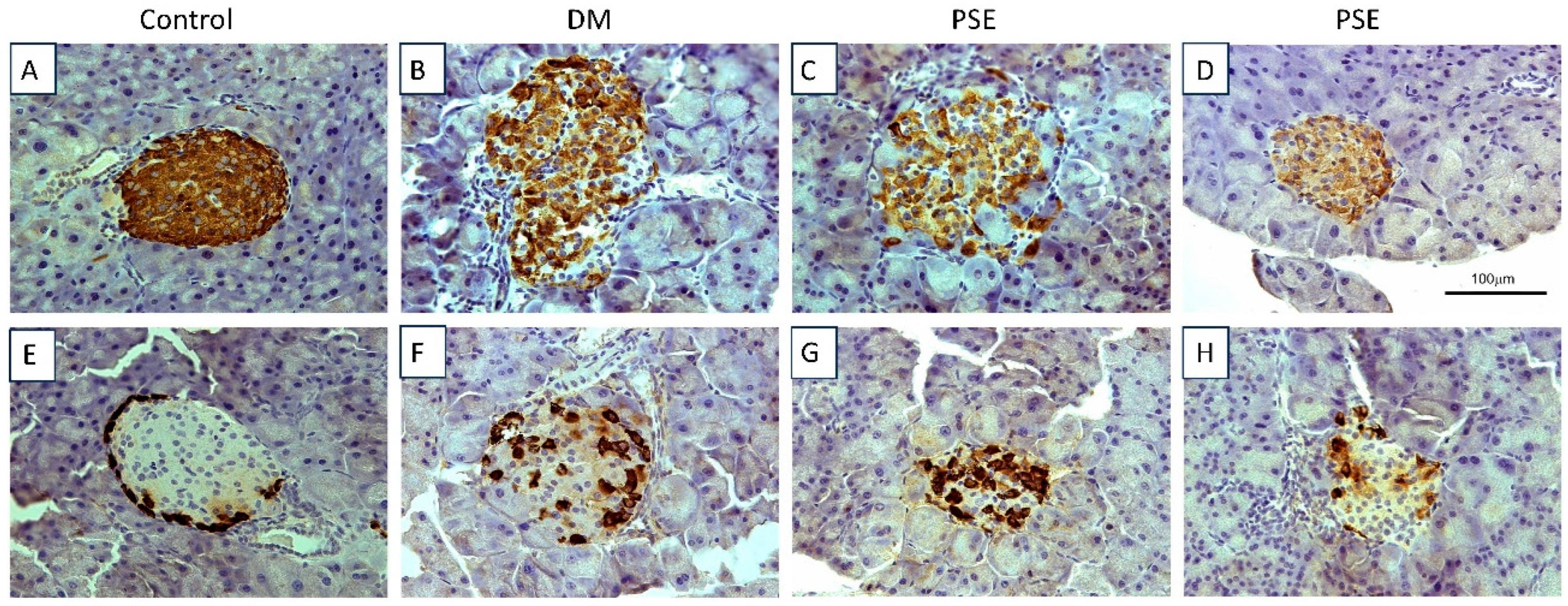 Nutrients 16 04158 g002