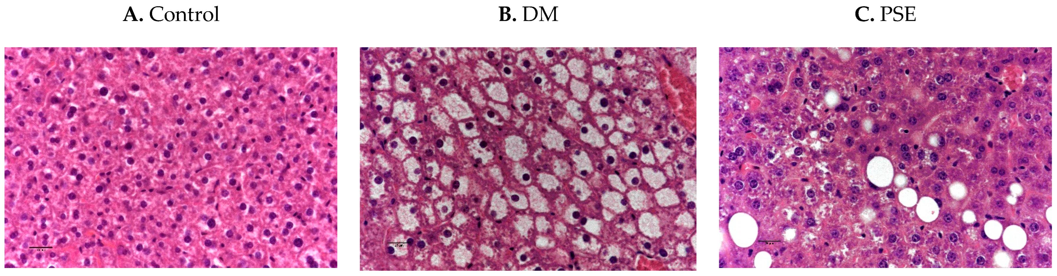 Nutrients 16 04158 g003