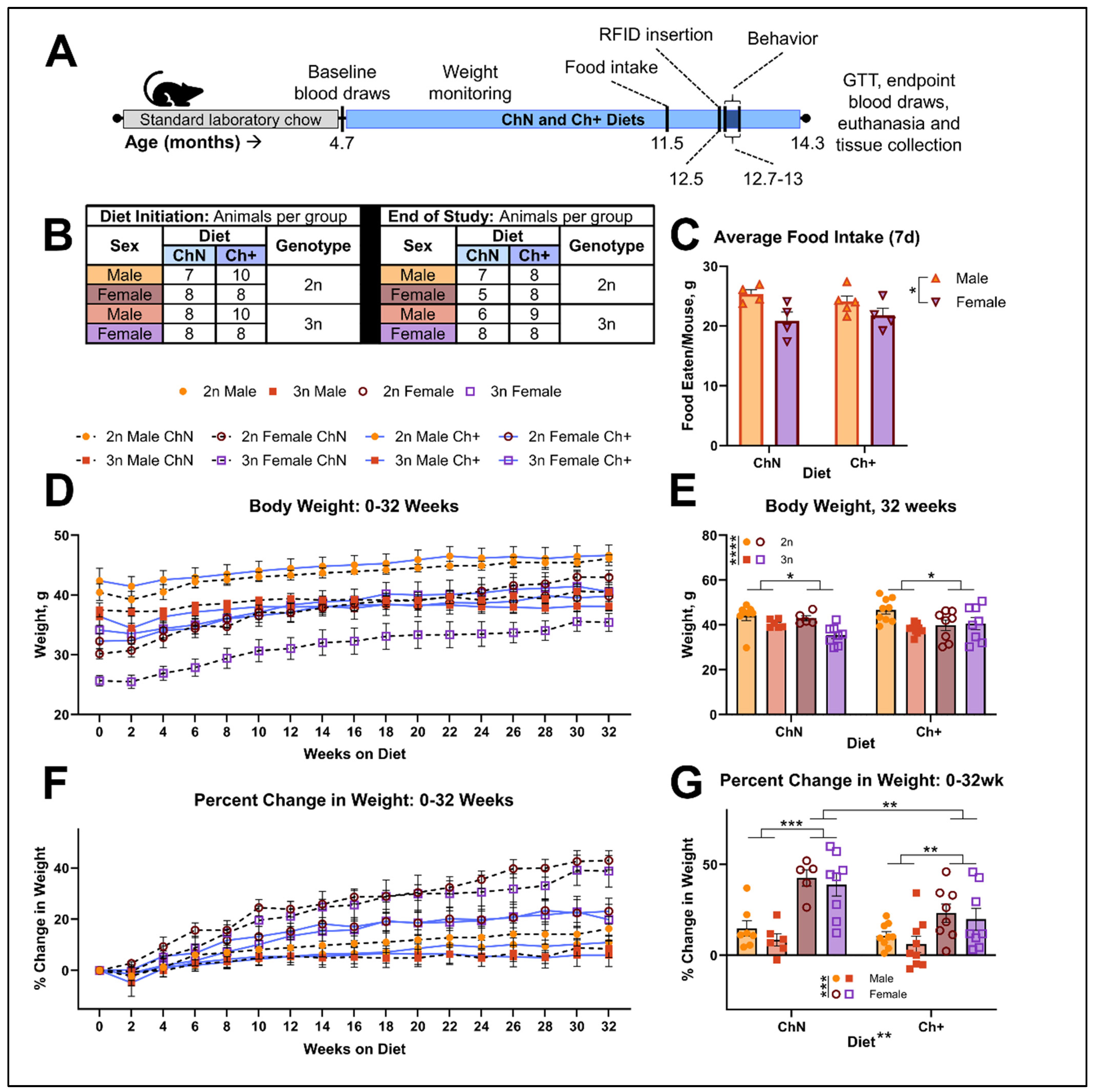 Nutrients 16 04167 g001 Nutrients 16 04167 g001
