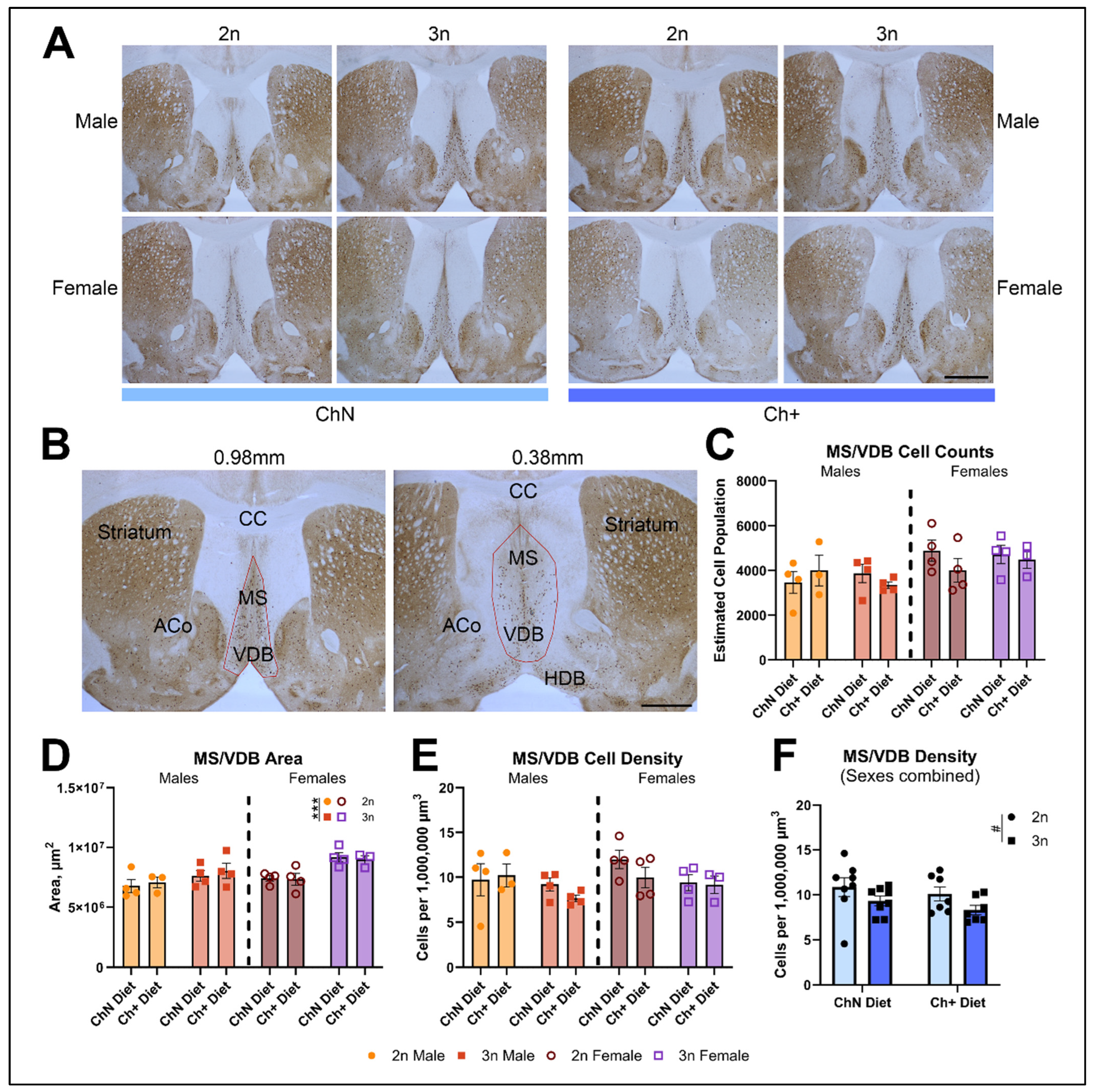 Nutrients 16 04167 g007 Nutrients 16 04167 g007