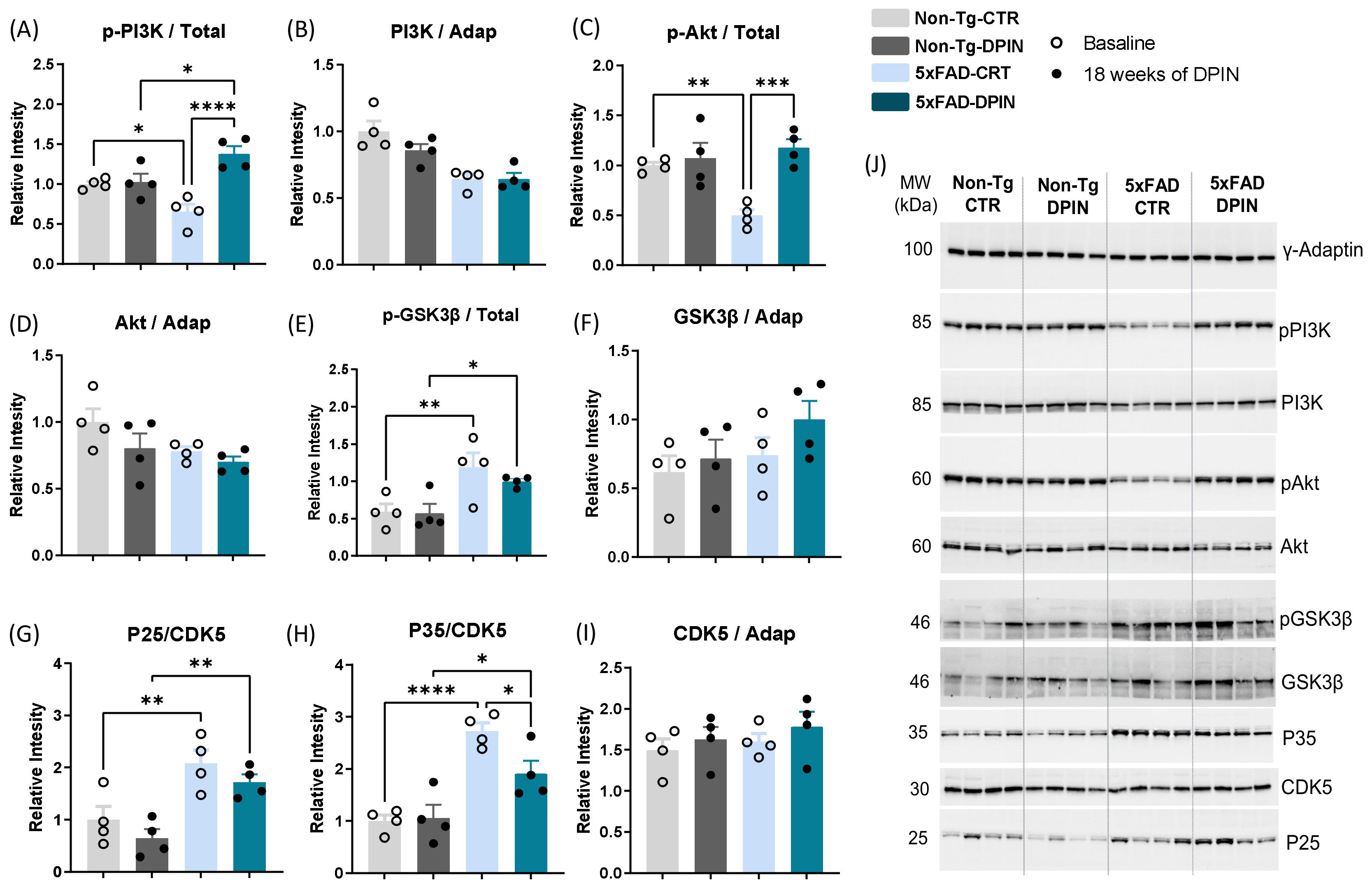 Nutrients 16 04186 g004