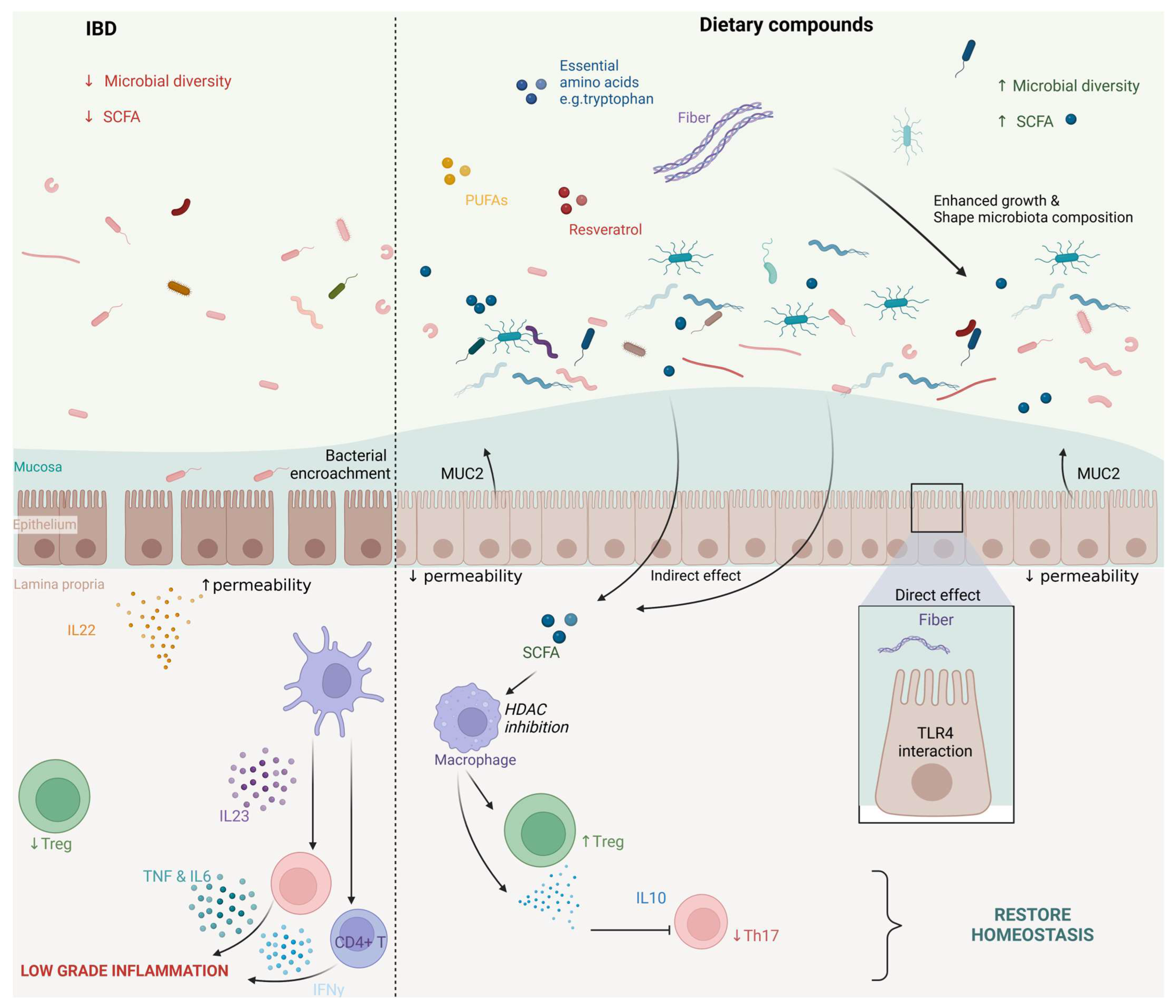 Nutrients 16 04201 g001