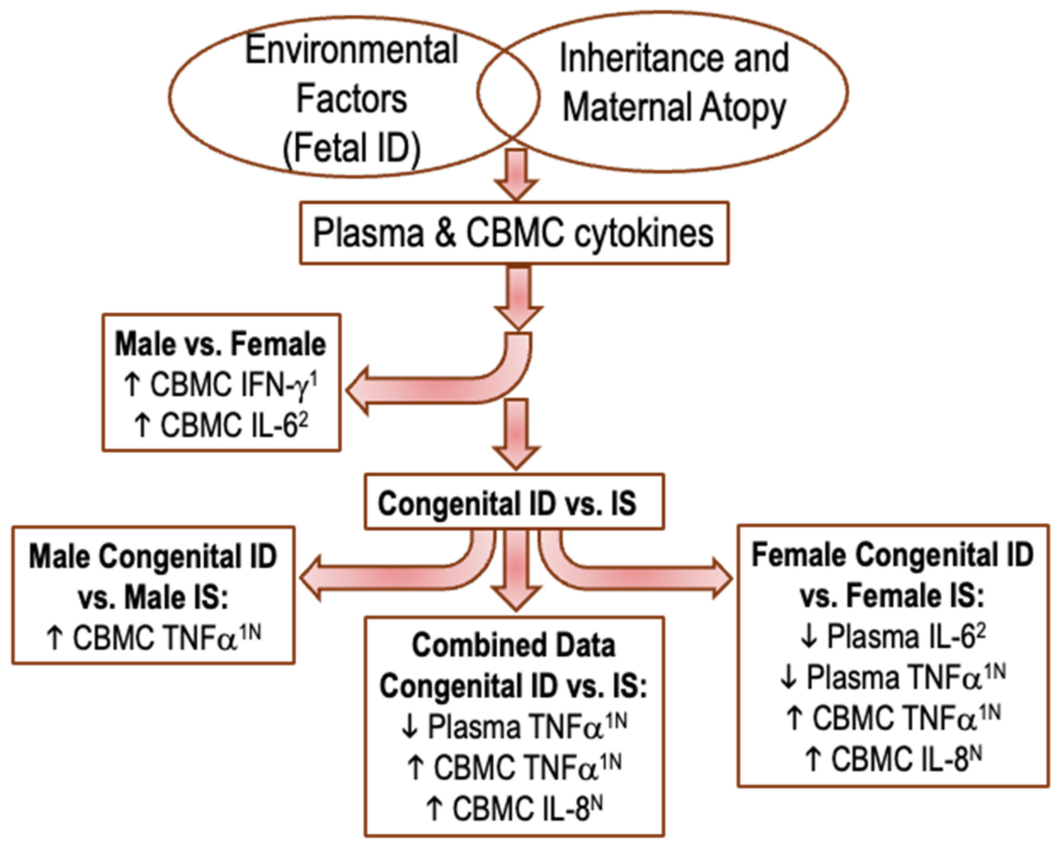 Nutrients 16 04203 g003 Nutrients 16 04203 g003