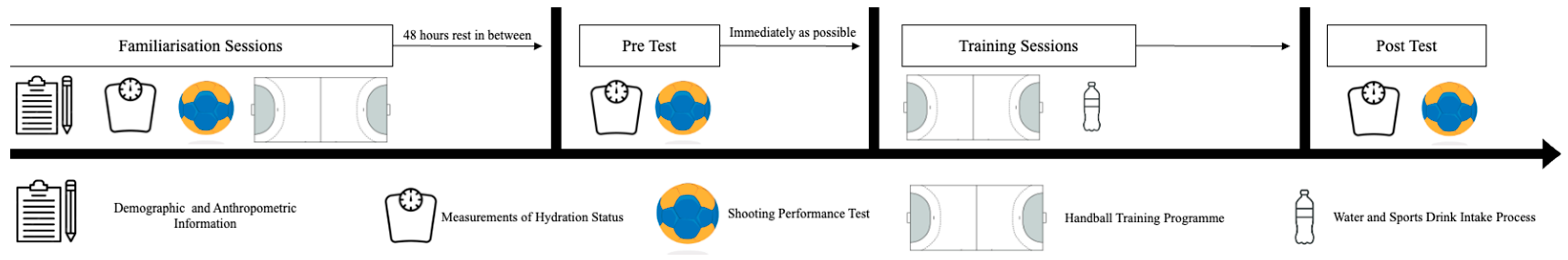 Nutrients 16 04246 g001