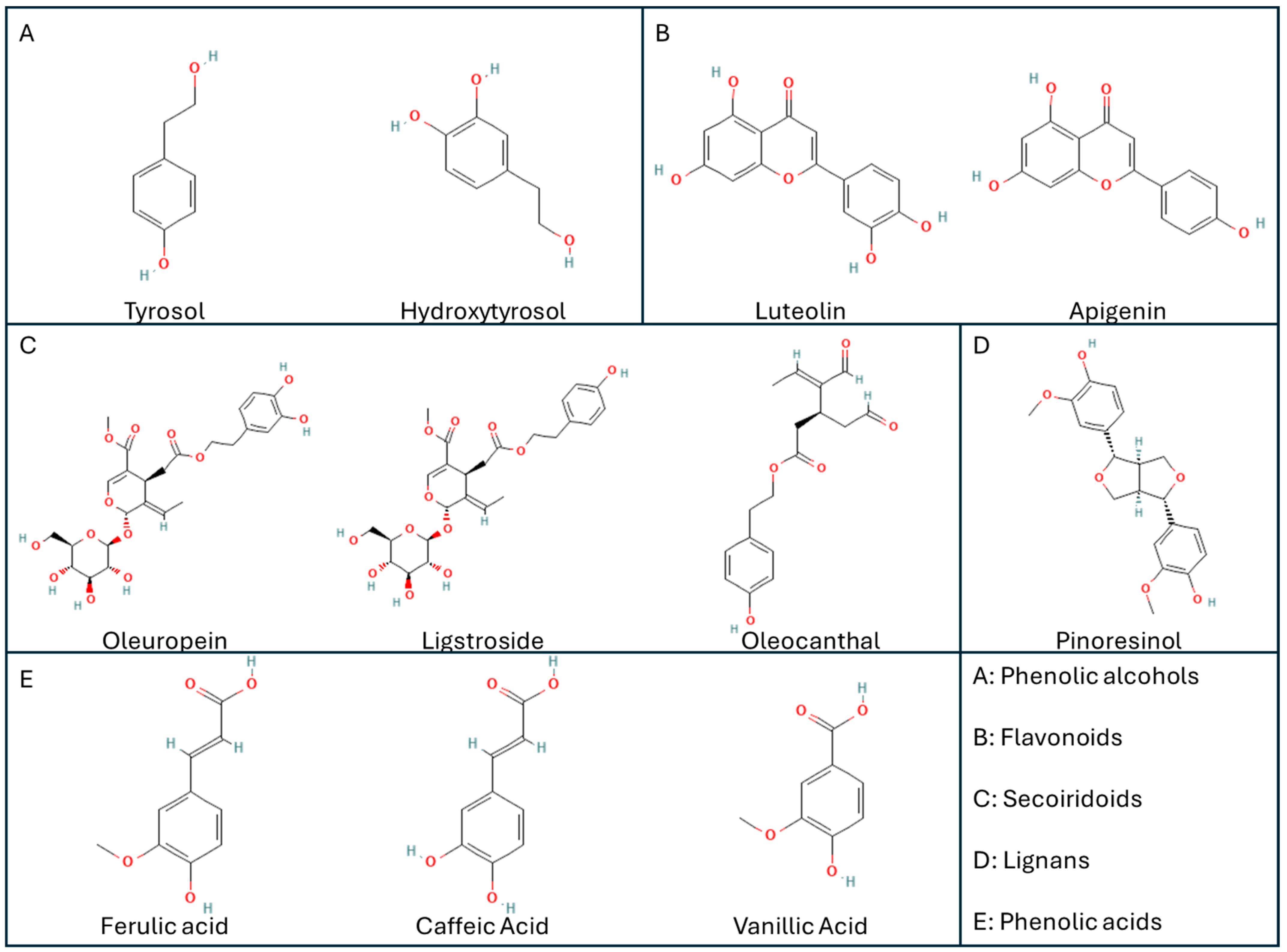 Nutrients 16 04258 g001 Nutrients 16 04258 g001
