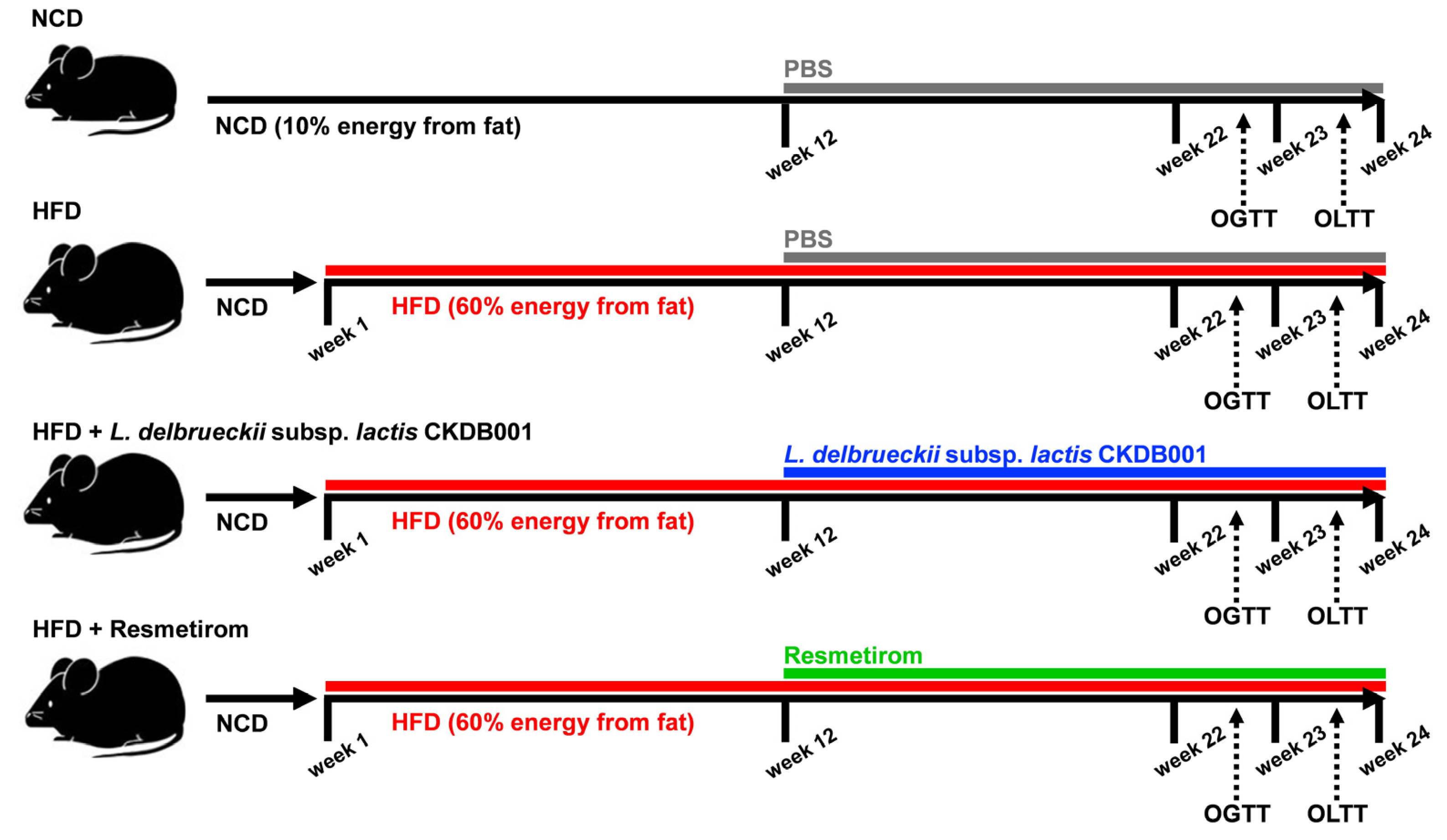 Nutrients 16 04260 g001 Nutrients 16 04260 g001