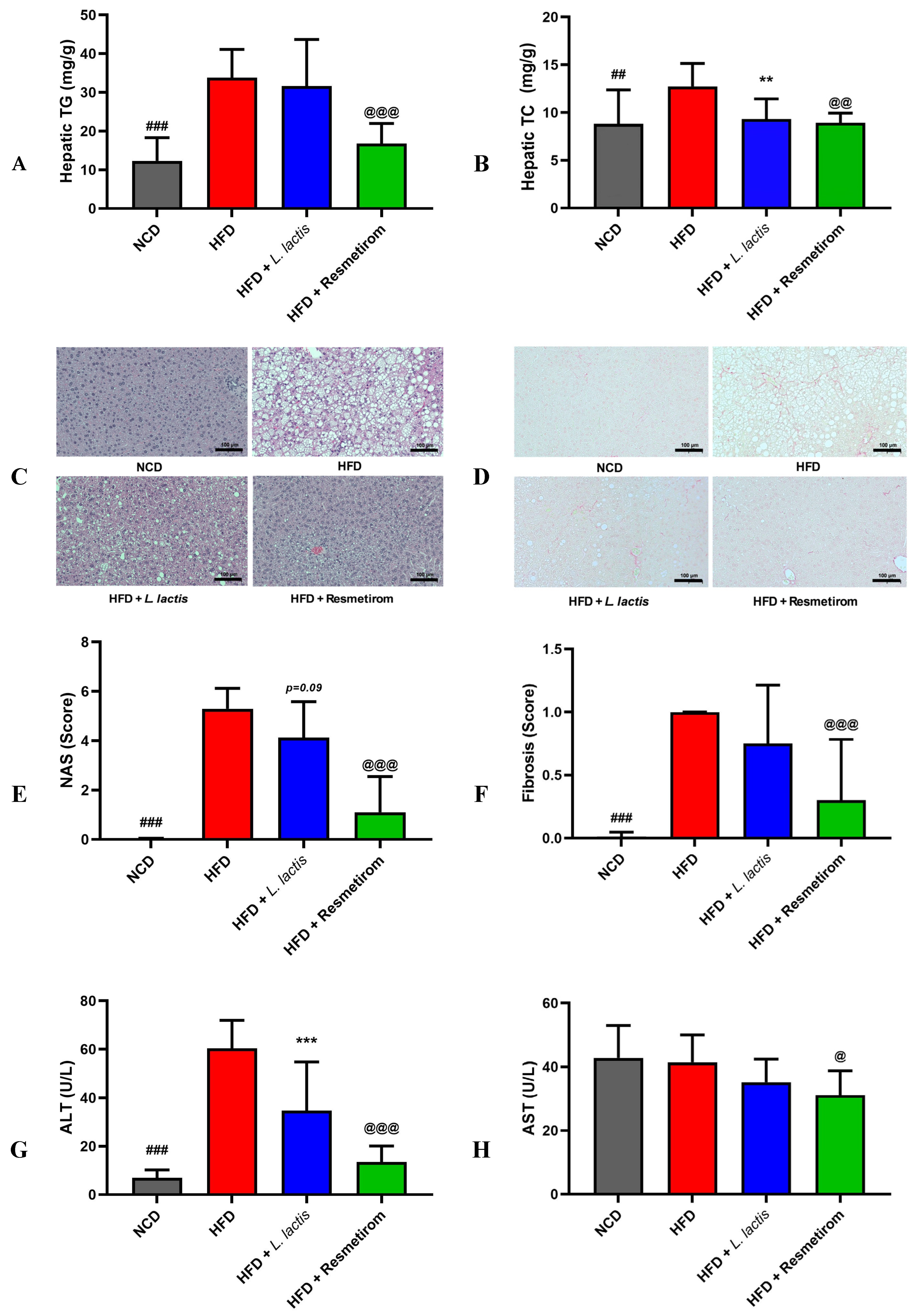 Nutrients 16 04260 g006 Nutrients 16 04260 g006
