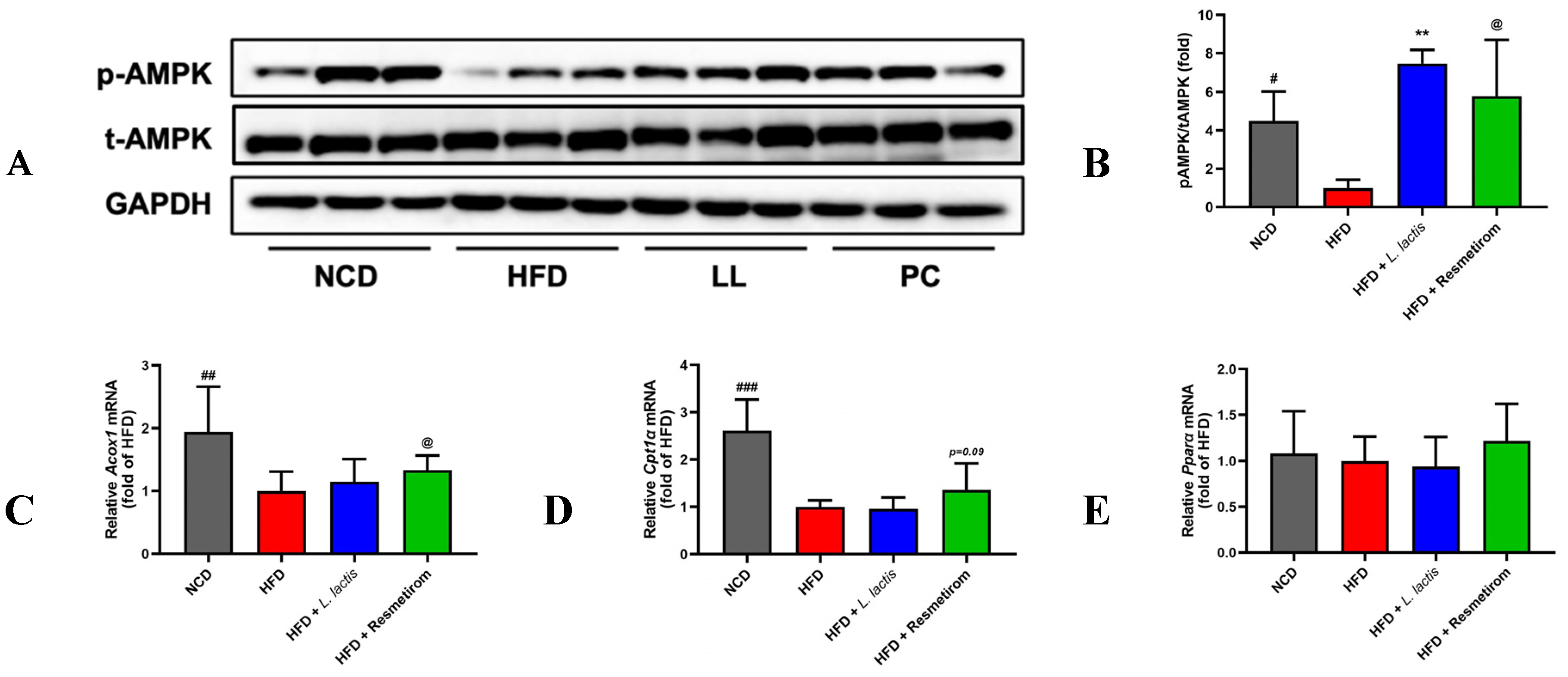 Nutrients 16 04260 g007a Nutrients 16 04260 g007a