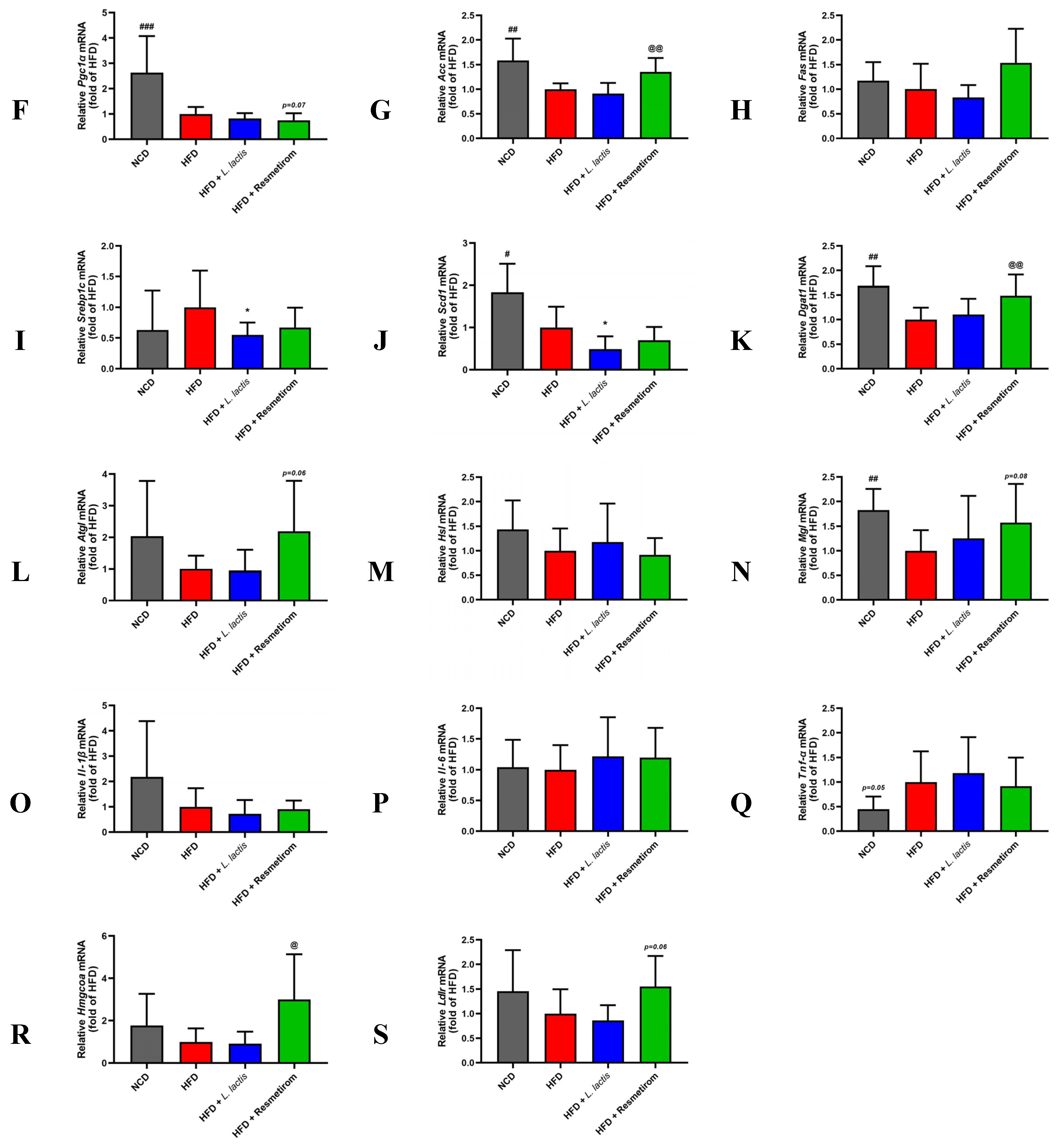 Nutrients 16 04260 g007b Nutrients 16 04260 g007b