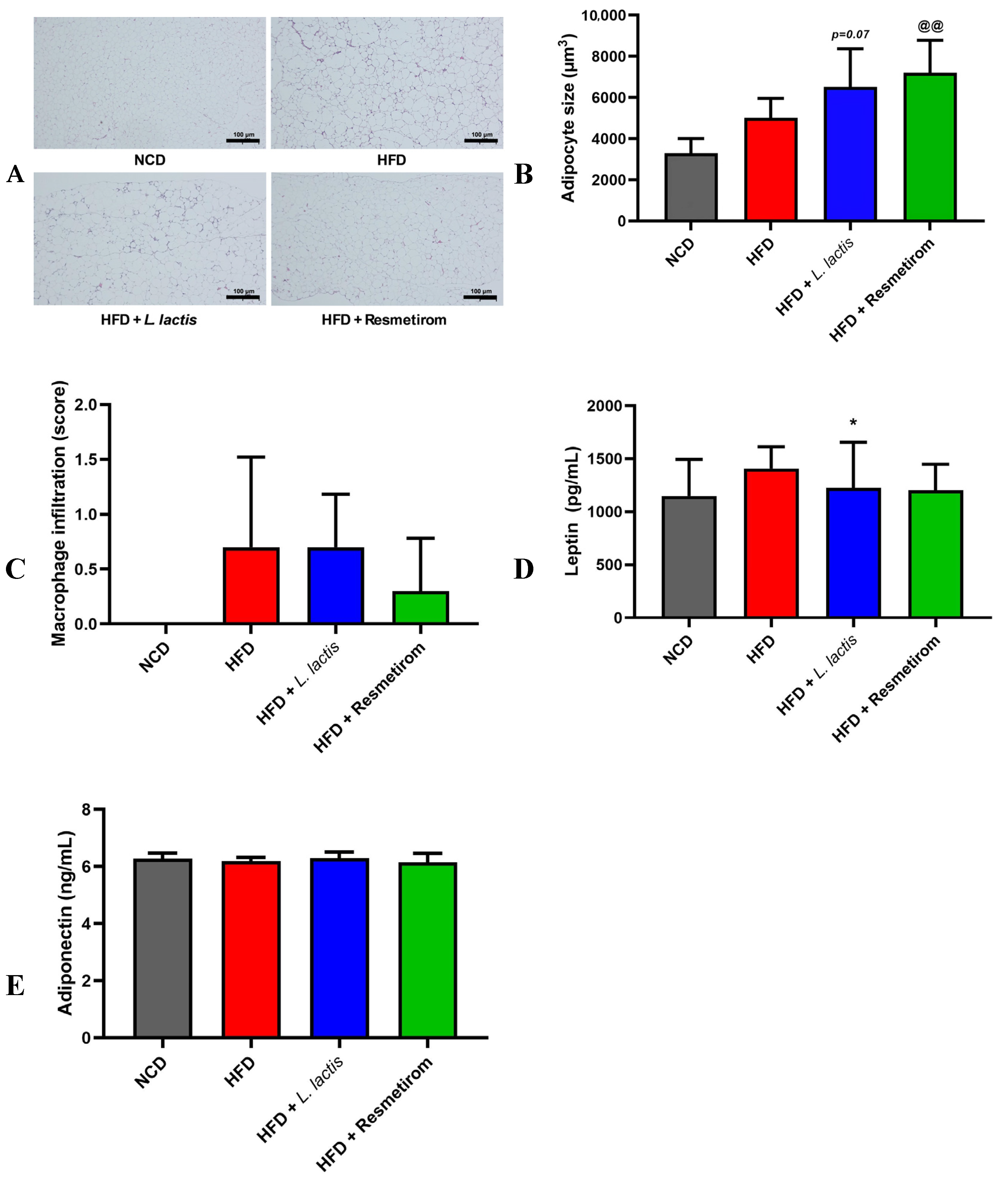 Nutrients 16 04260 g008 Nutrients 16 04260 g008