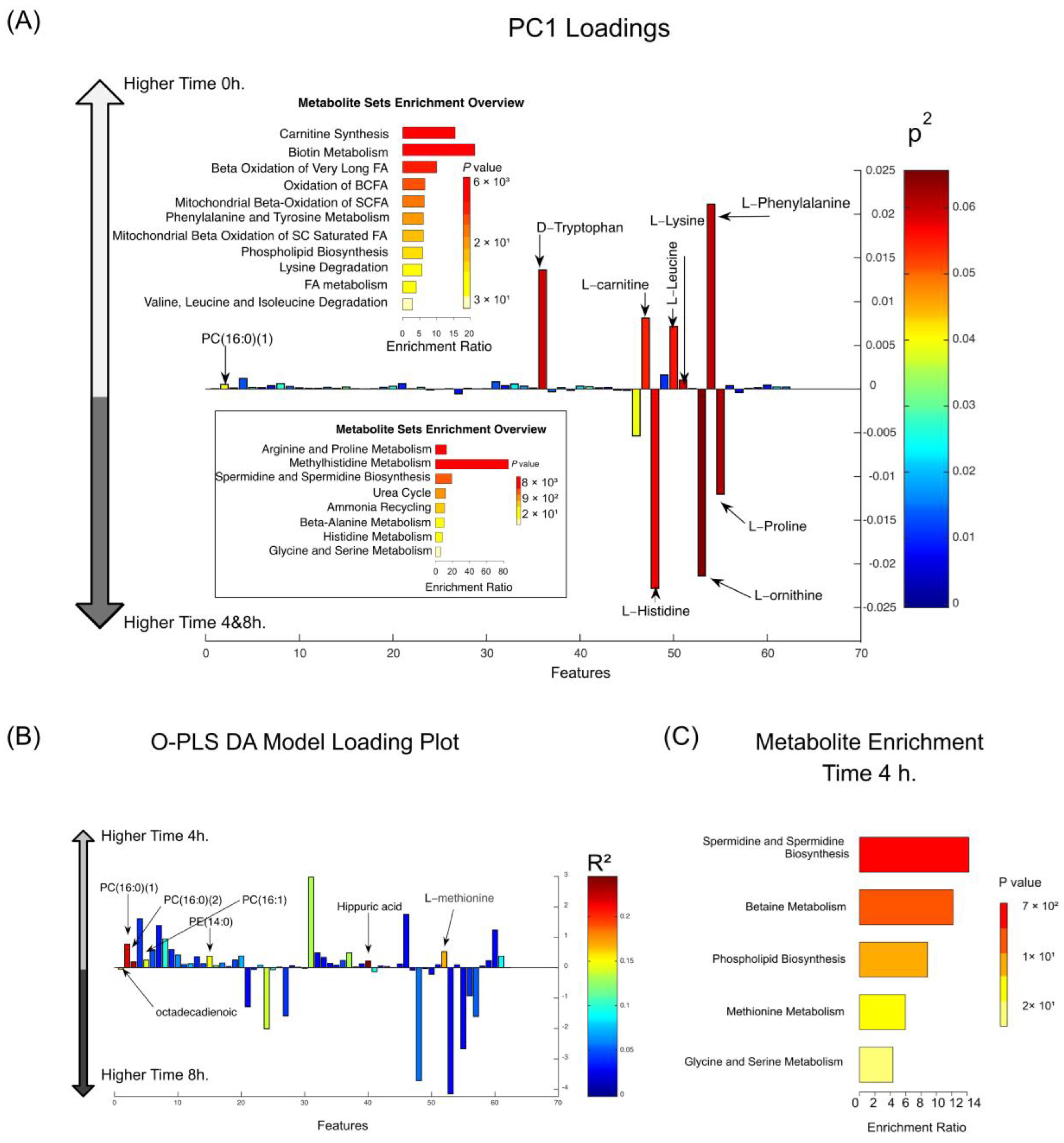 Nutrients 16 04267 g001