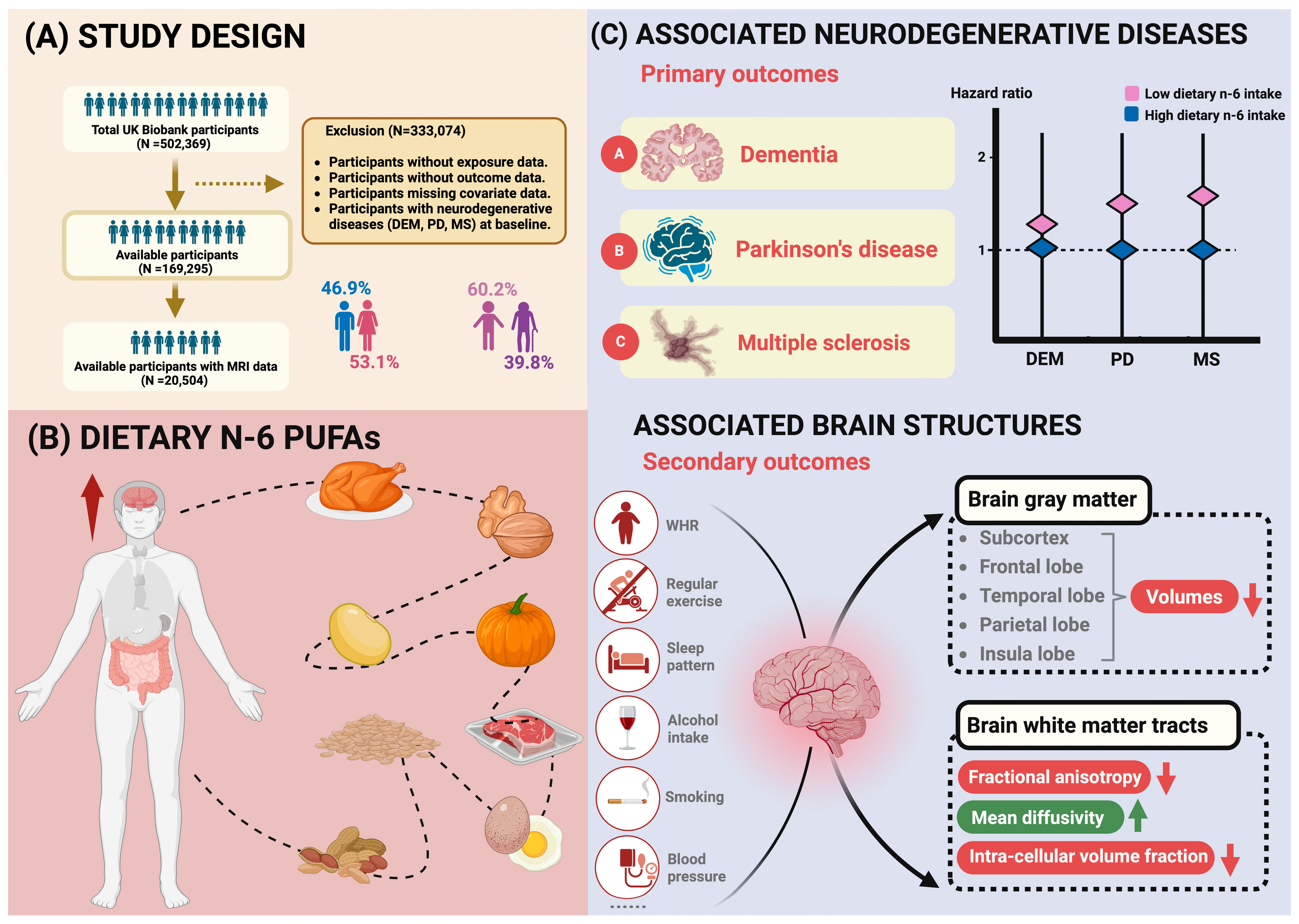 Nutrients 16 04272 g001
