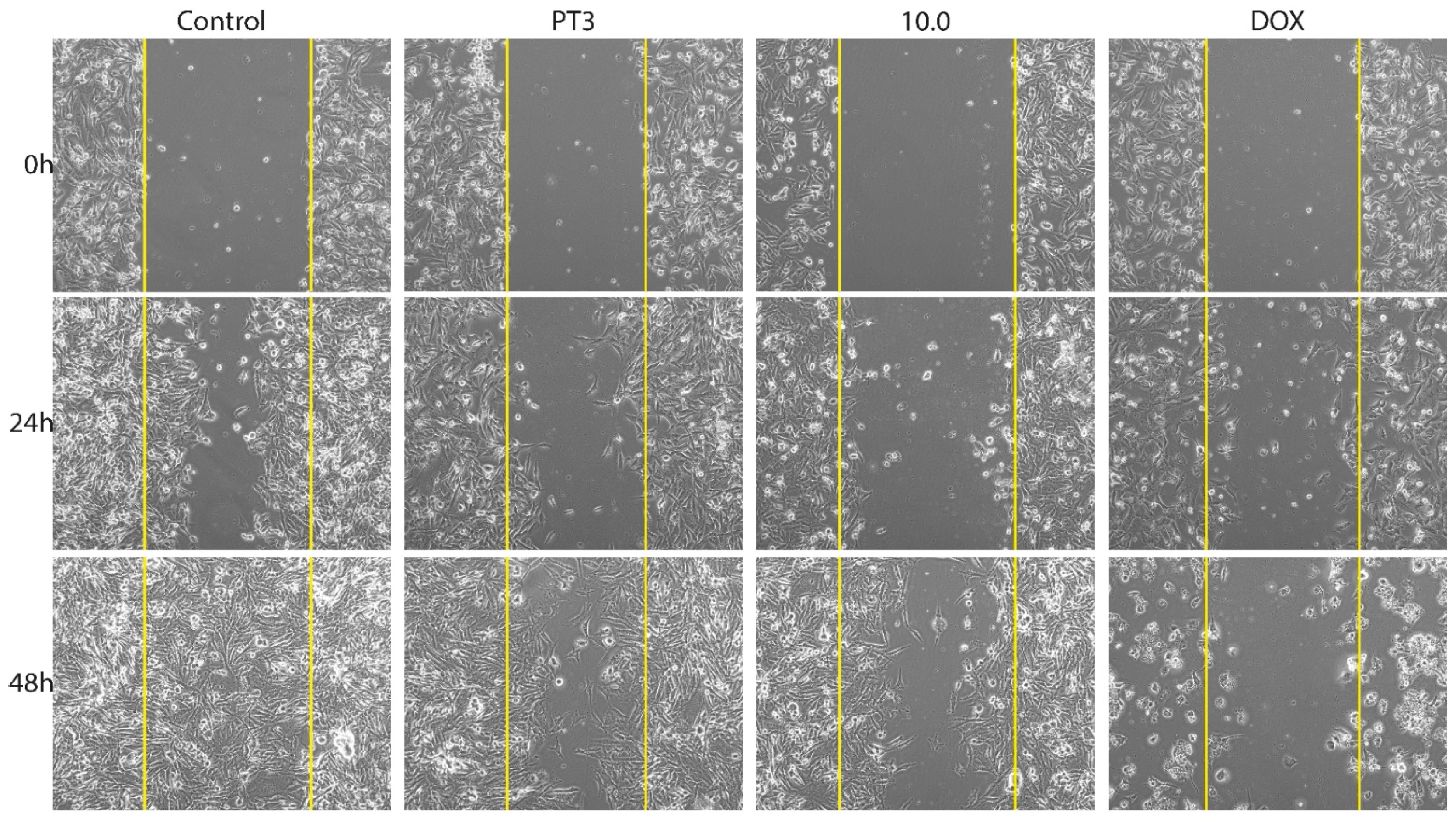 Nutrients 16 04274 g003